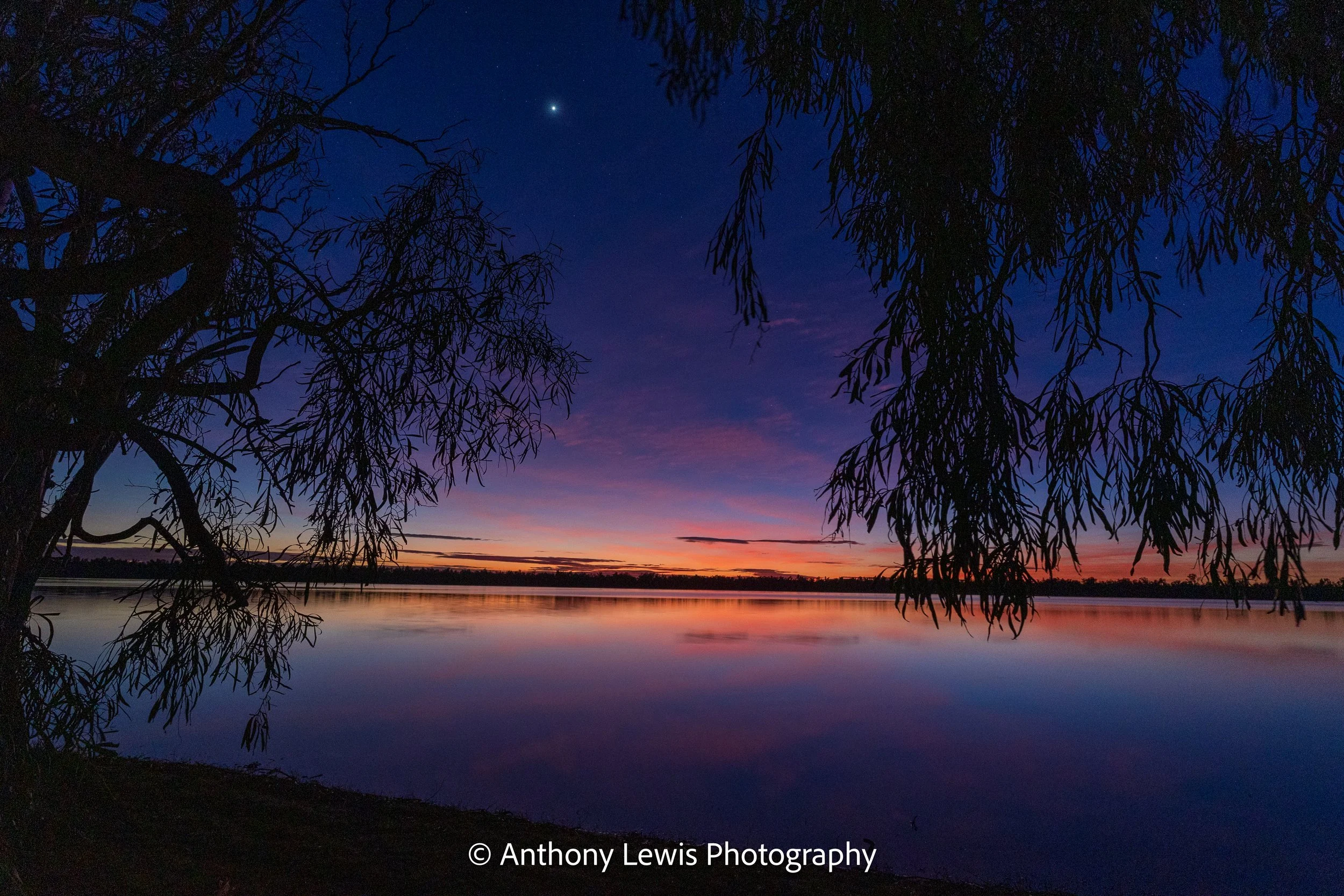 Venus, Lake Broadwater Conservation Park, Queensland