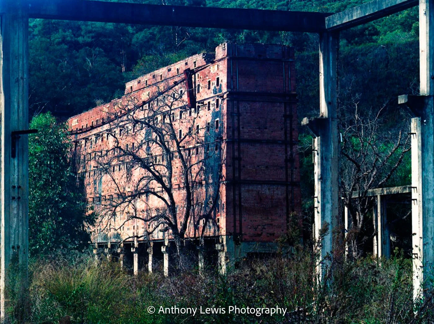 Newnes Shale Oil Refinery, 4x5 inch Kodak Portra film