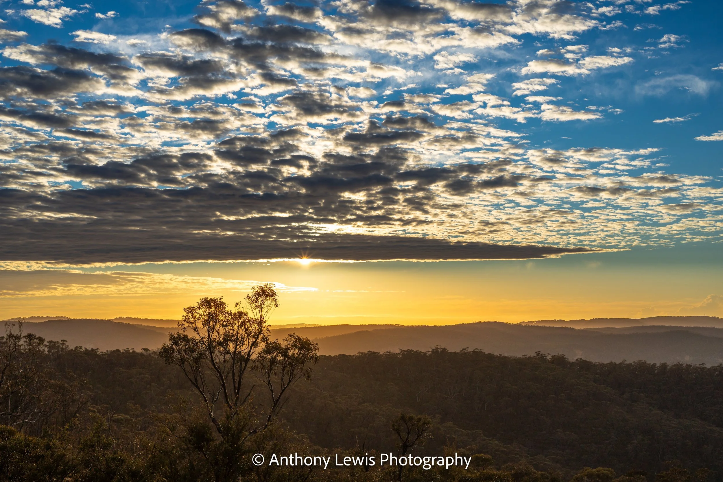 Sunrise II, Blue Mountains
