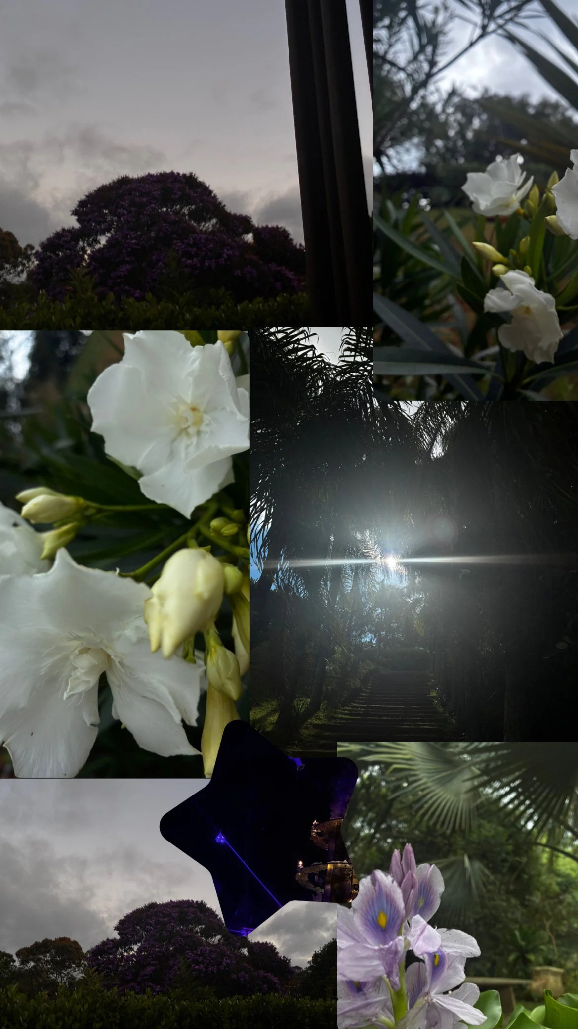 7685BDEB-DED4-417D-83CA-82CD69A42EF2.jpg