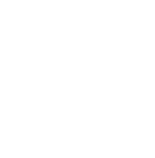 Dragonfly's Elixir