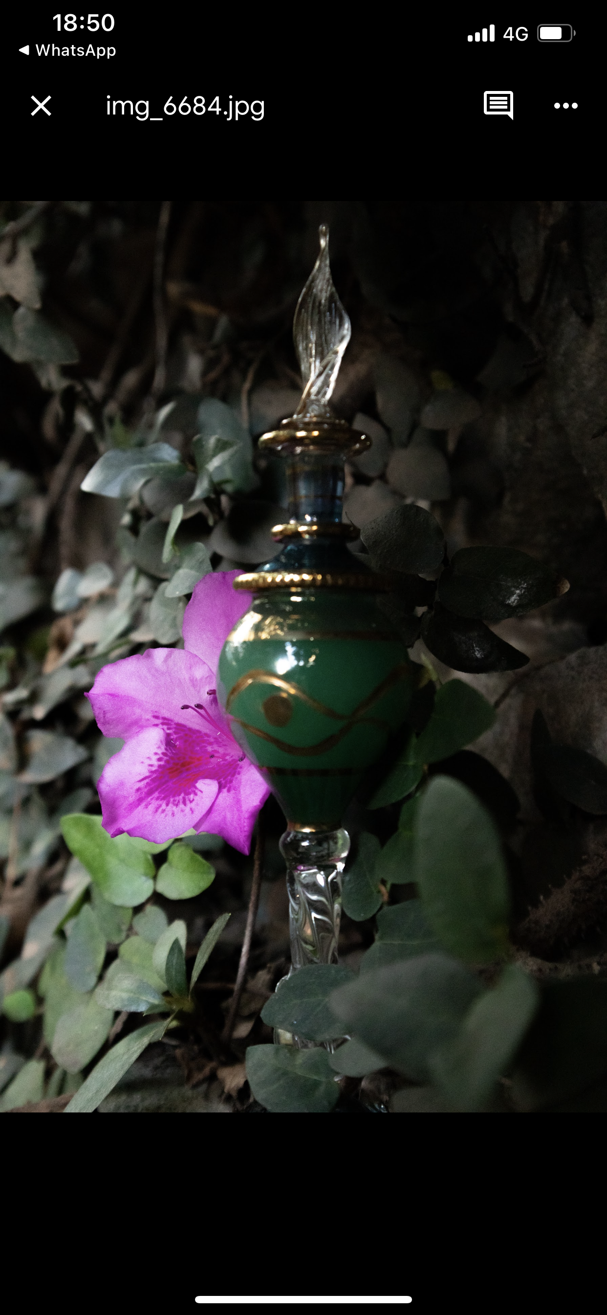 IMG_4778.png