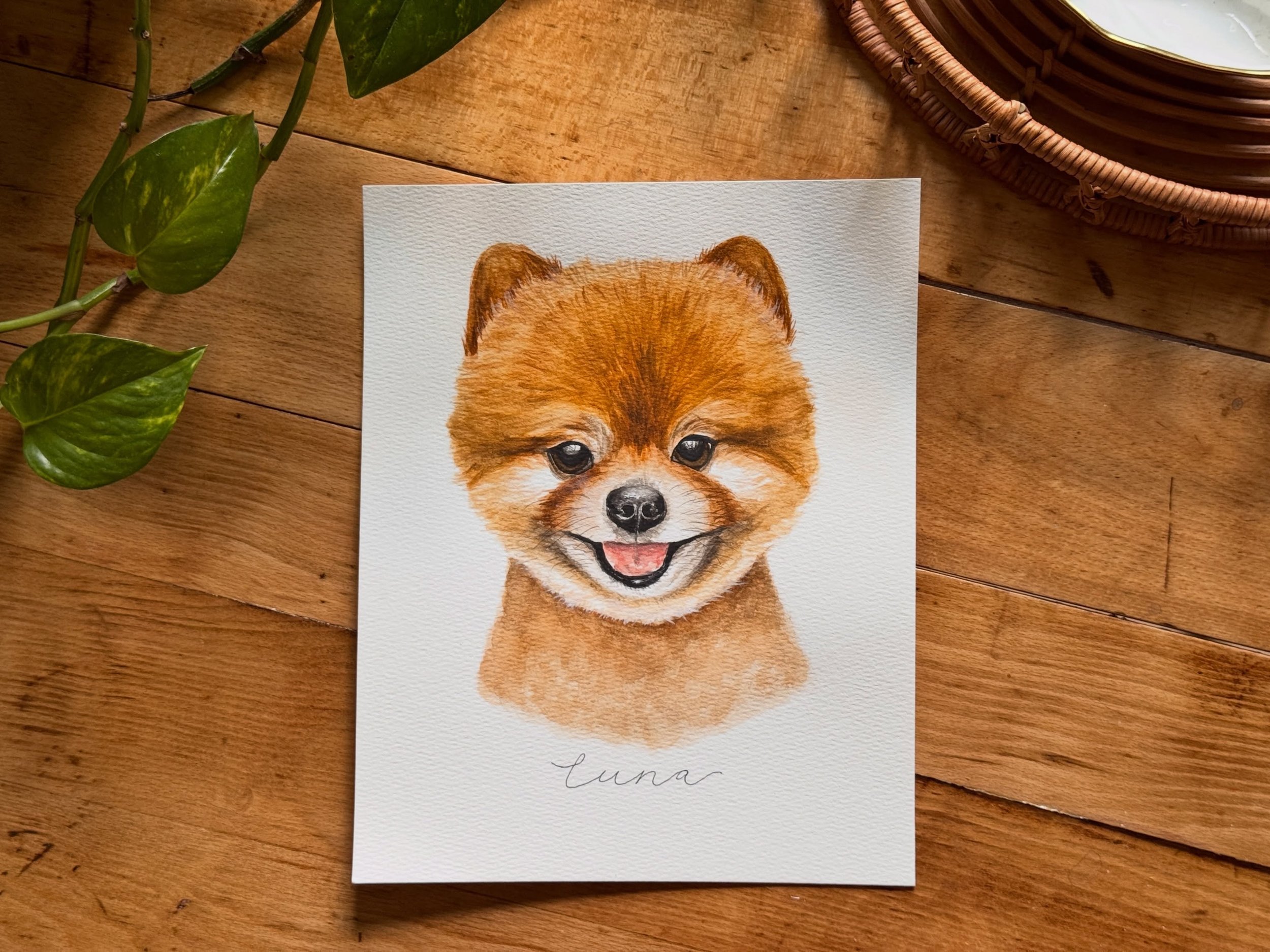 A forever portrait of another furry friend 🐾