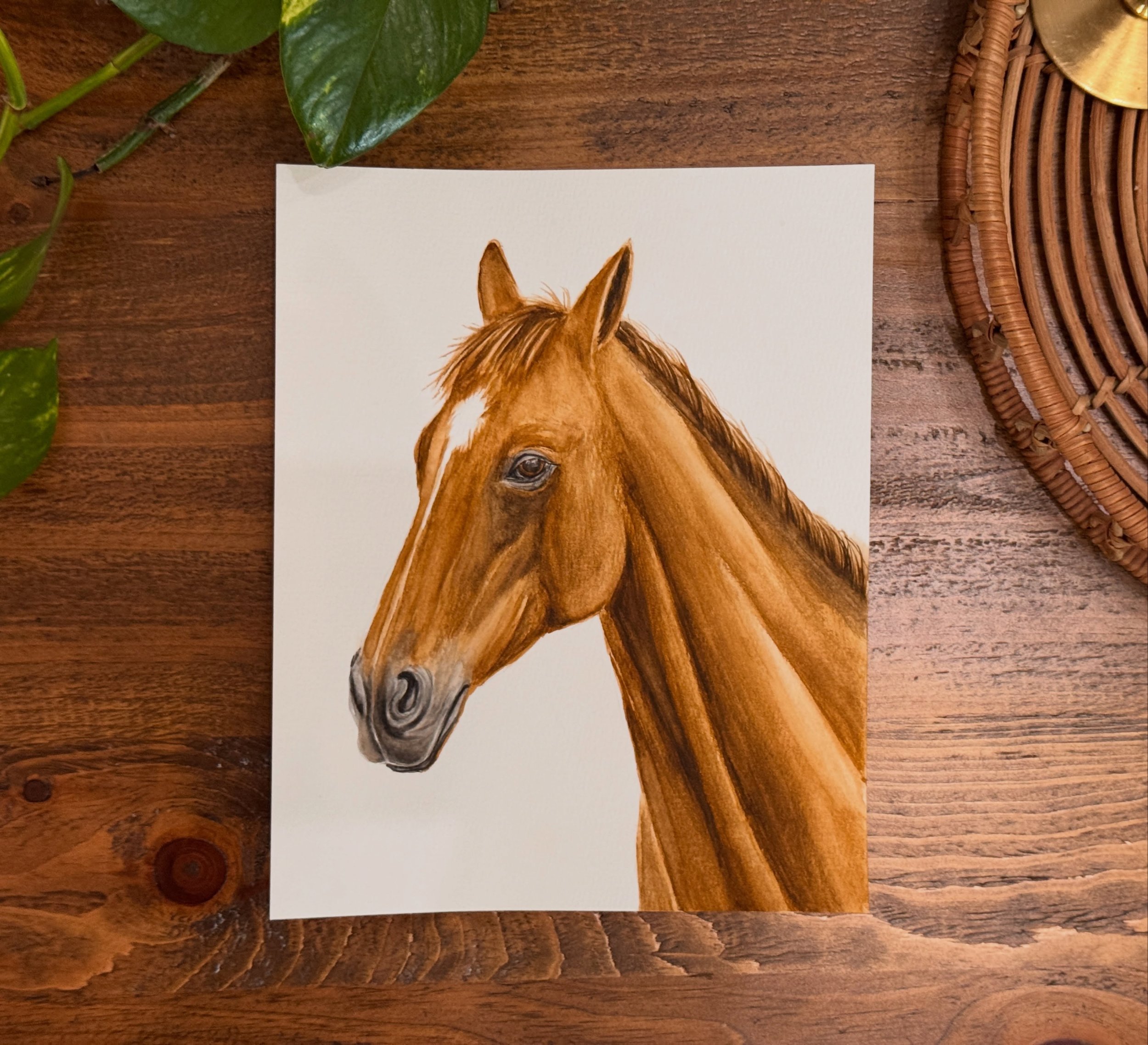 🐎🖌️🎨