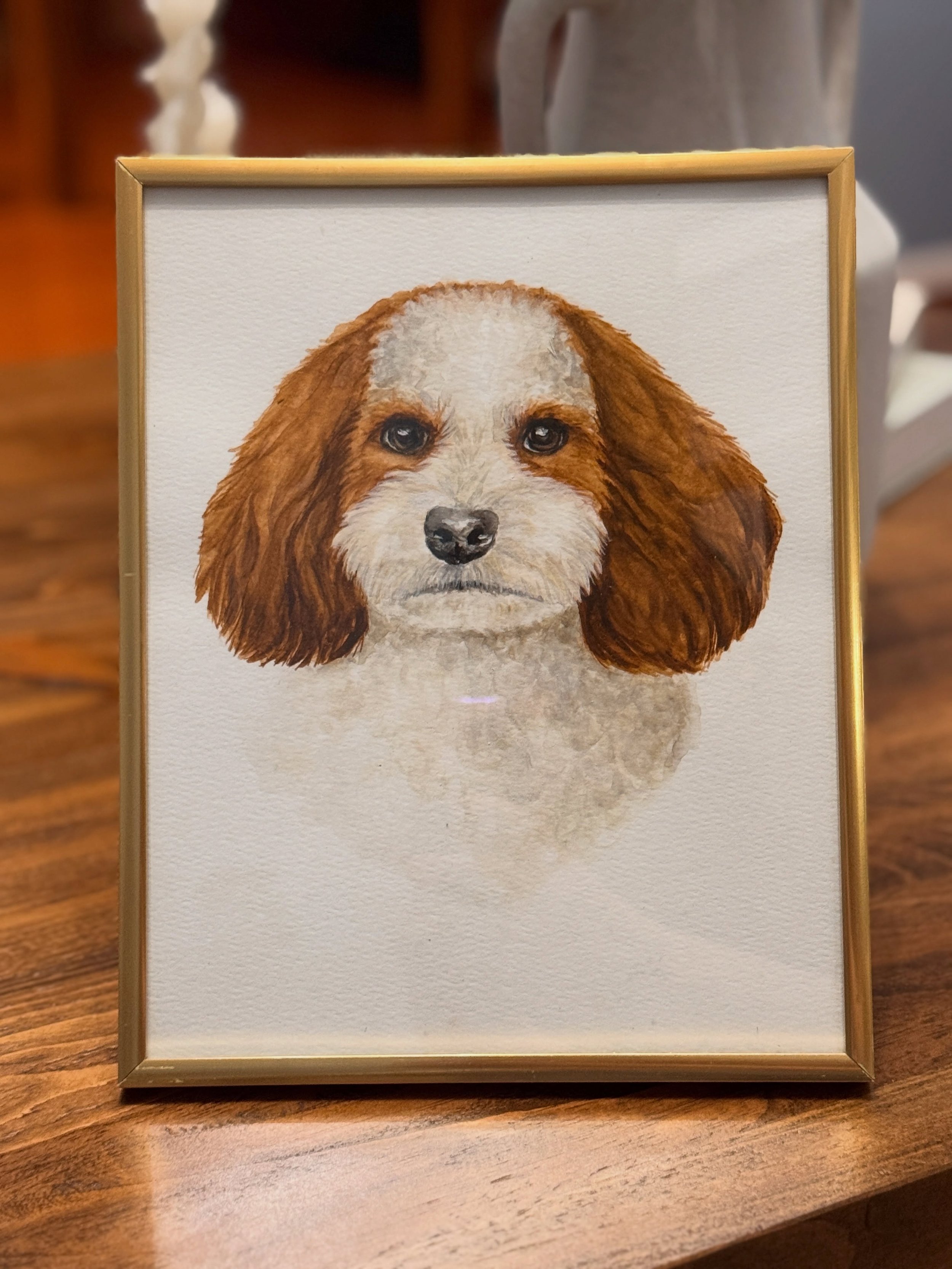 🐾🎨🖌️