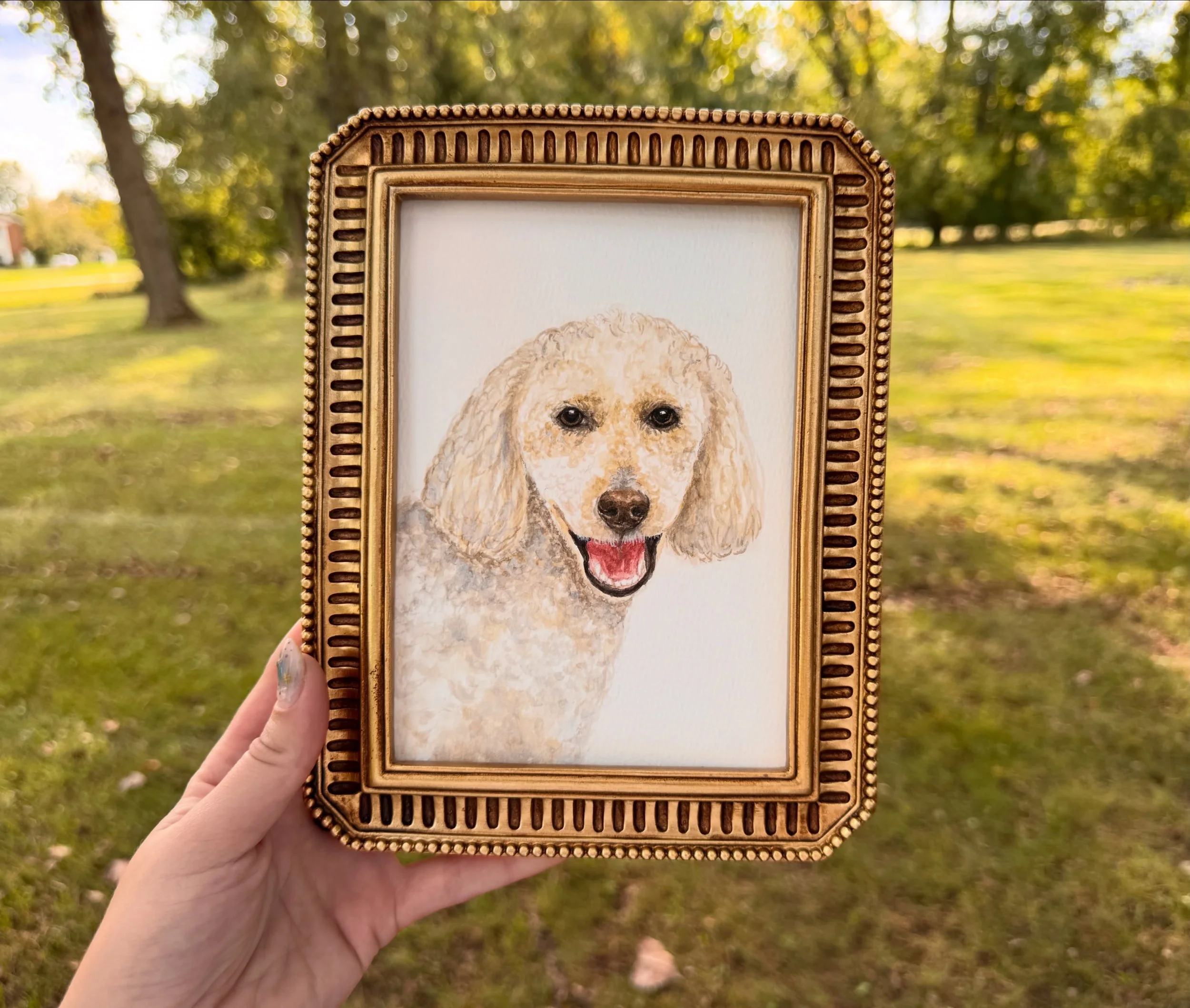 A poodle to brighten your feed 🐩🤍