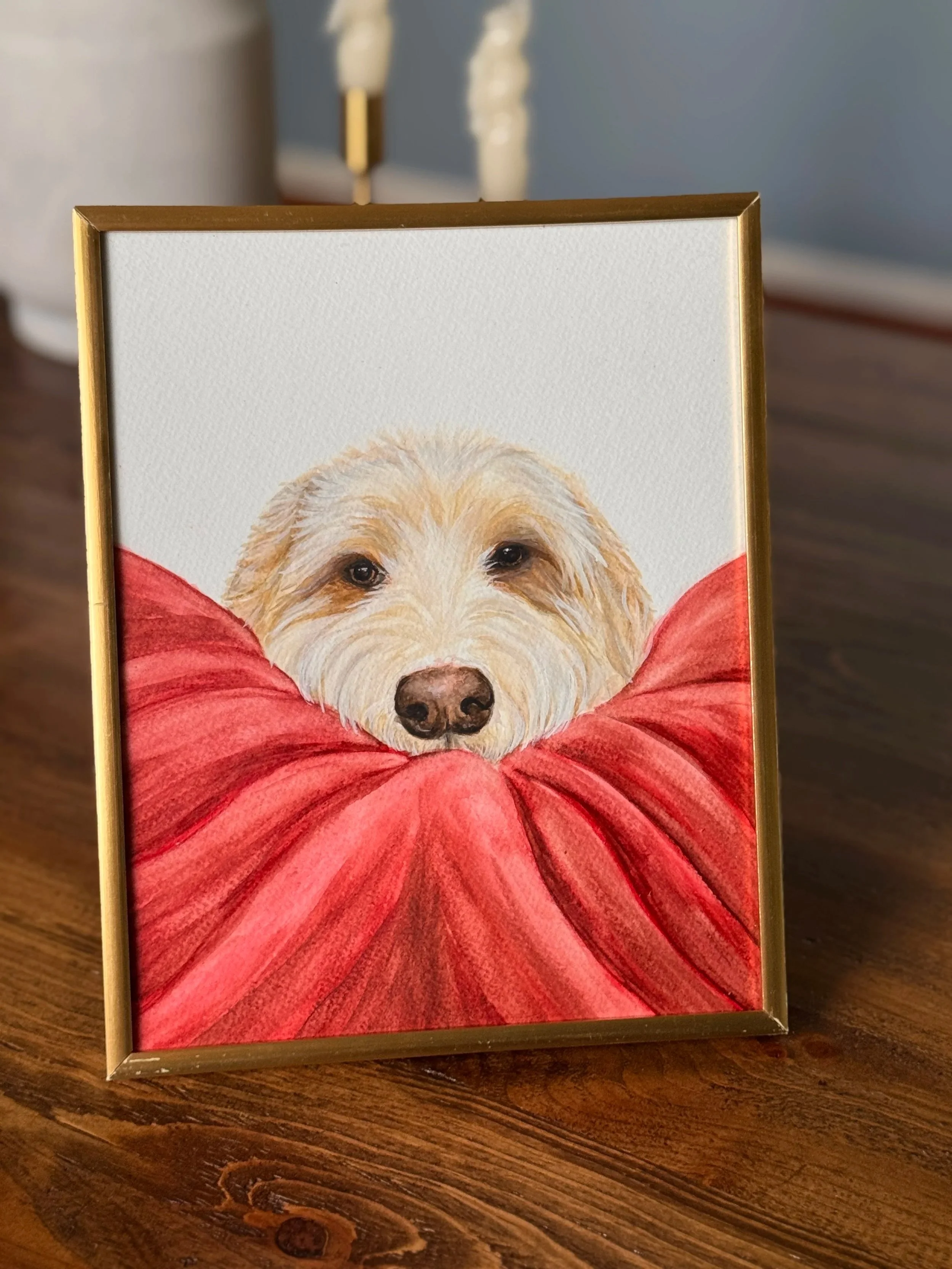 Pet Portrait