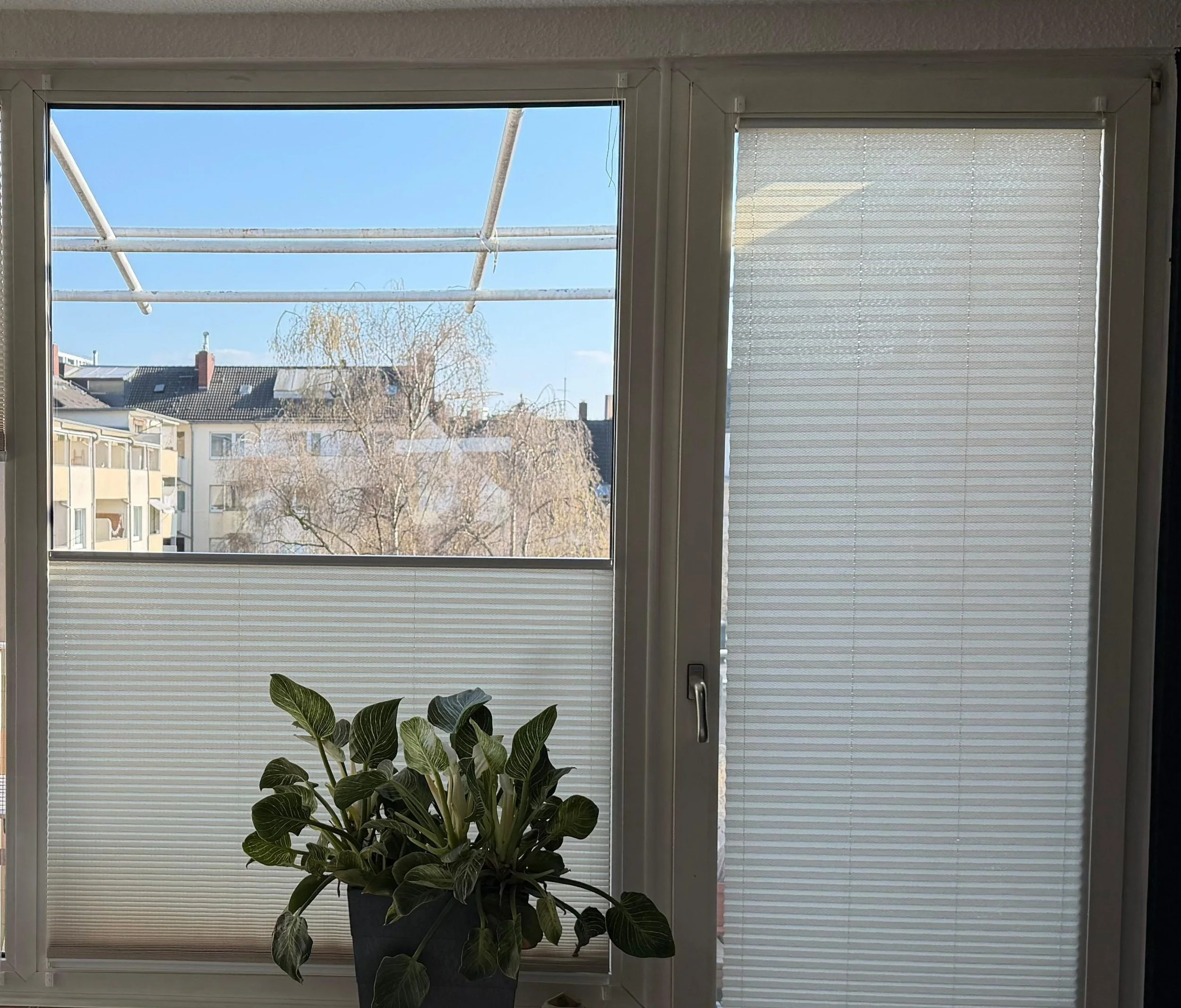 A view through a window showing buildings, trees, and a clear blue sky. The window has closed blinds, with sunlight filtering through.