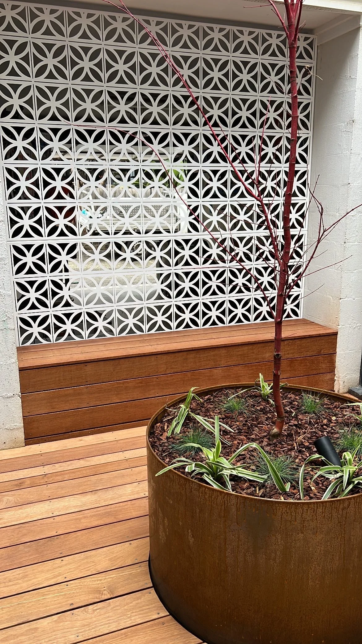 A small tree planted in a large round rust-colored metal planter on a wooden deck, with a decorative white lattice wall in the background.