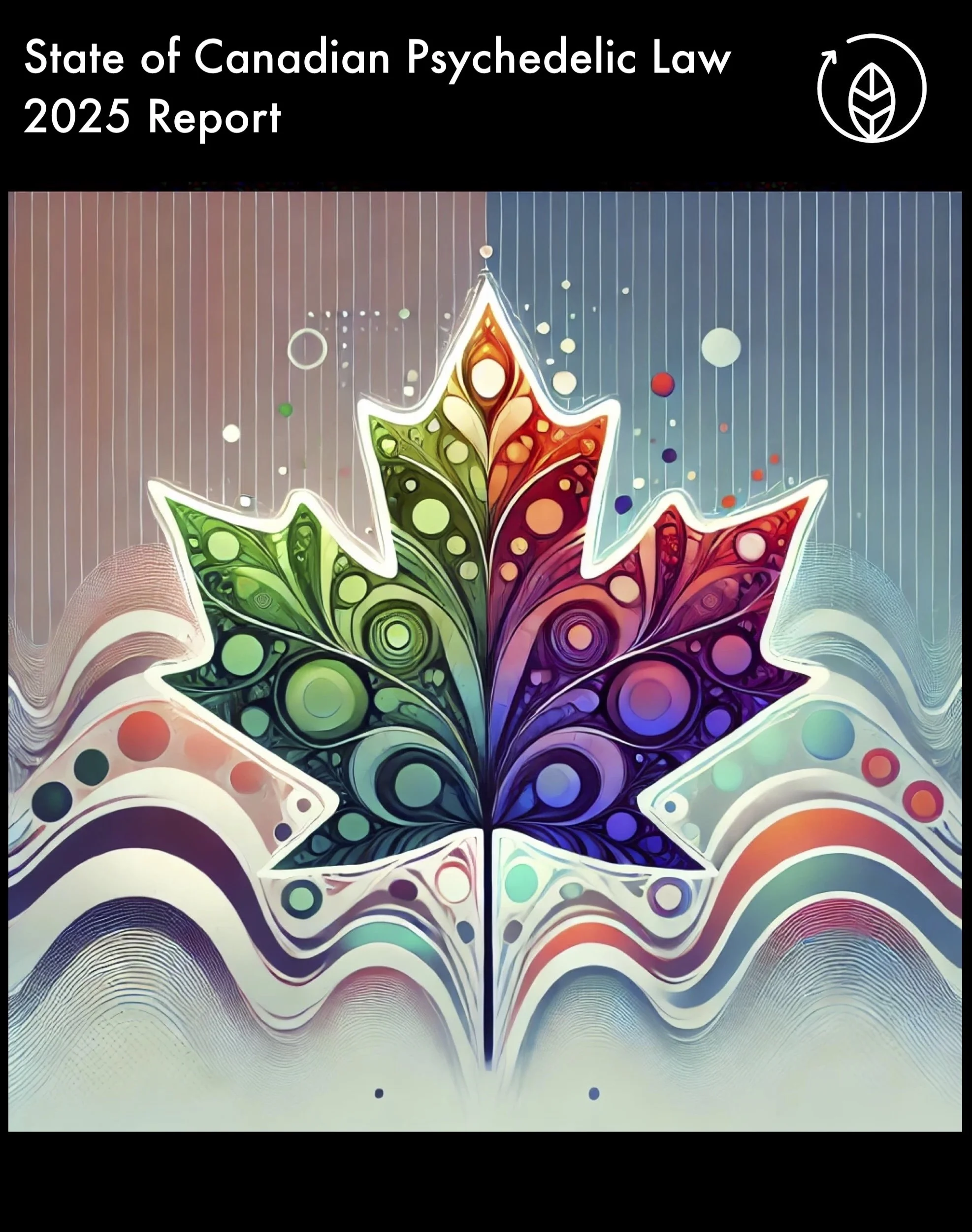 Report cover with psychedelic maple leaf.