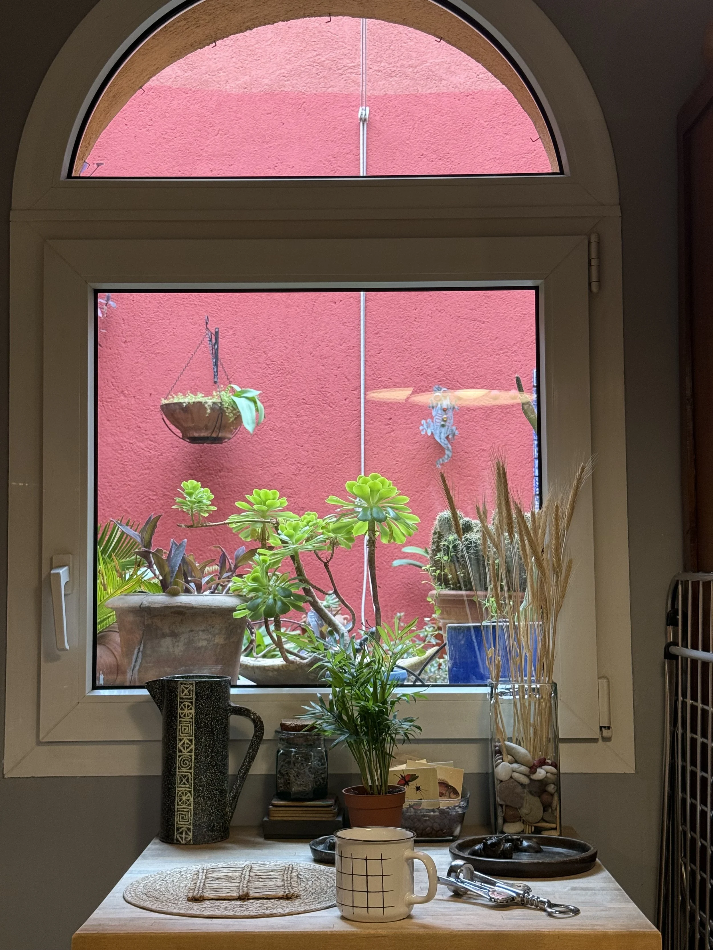 A view through a window at a red wall with hanging plants and succulents, with a table inside holding a ceramic mug with a grid pattern, a spoon, a small dish, and various pots of plants and stones.