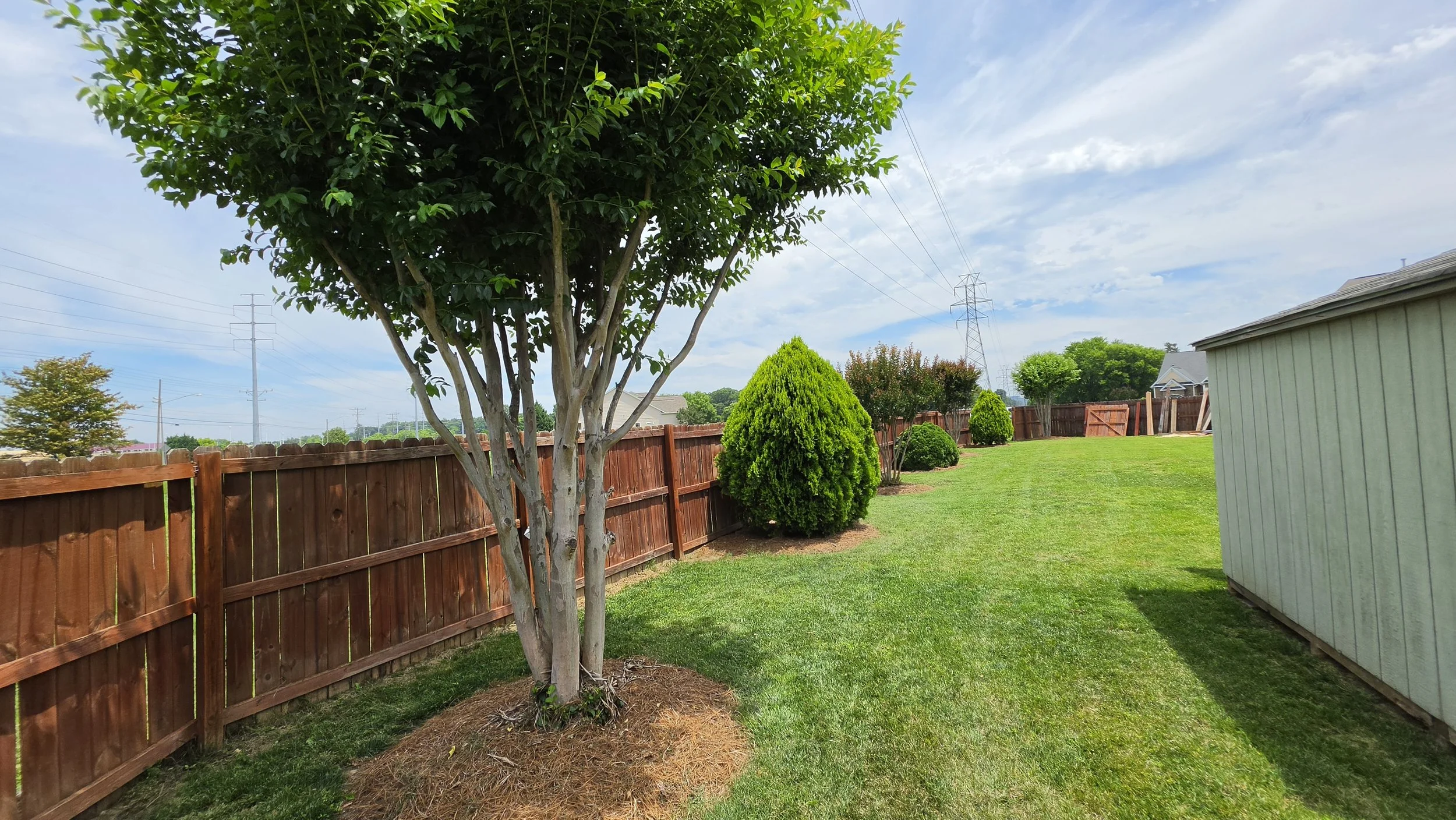 Backyard with a large tree, trimmed bushes, a wooden fence, a shed, and a green lawn under a partly cloudy sky.