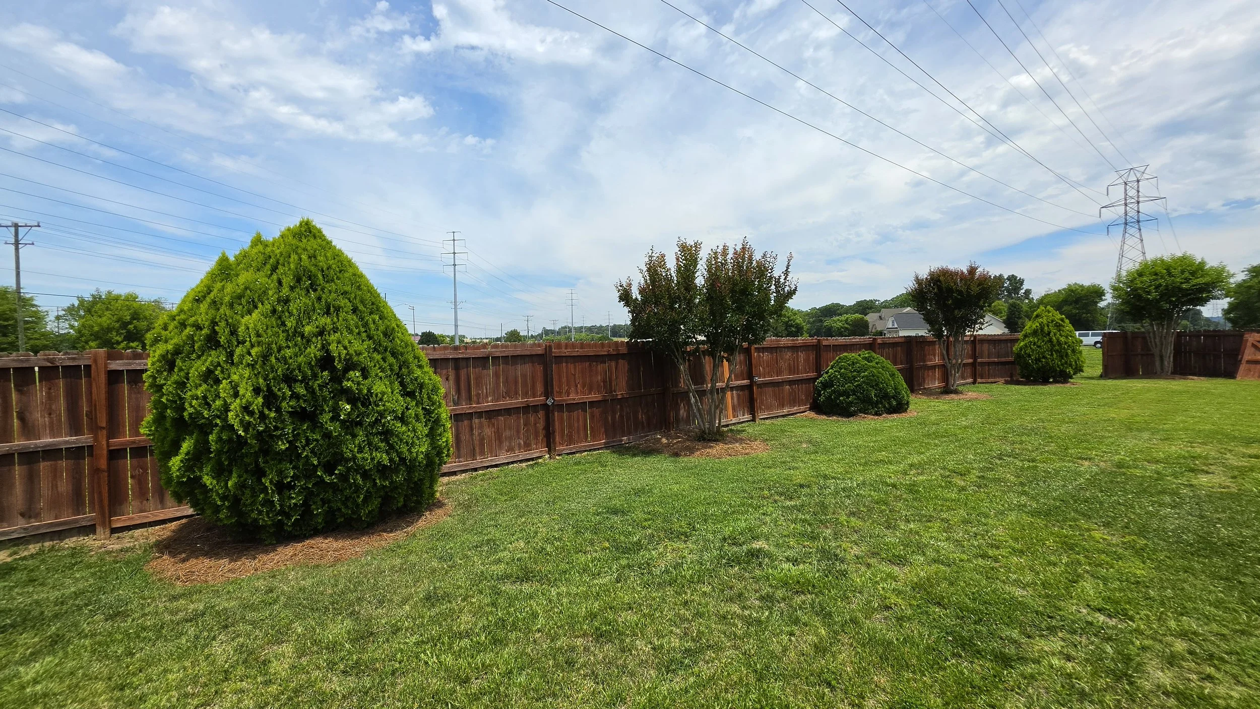 A backyard scene with a well-maintained green lawn, several small trees and shrubs along a wooden fence, and power lines overhead in a partly cloudy sky.