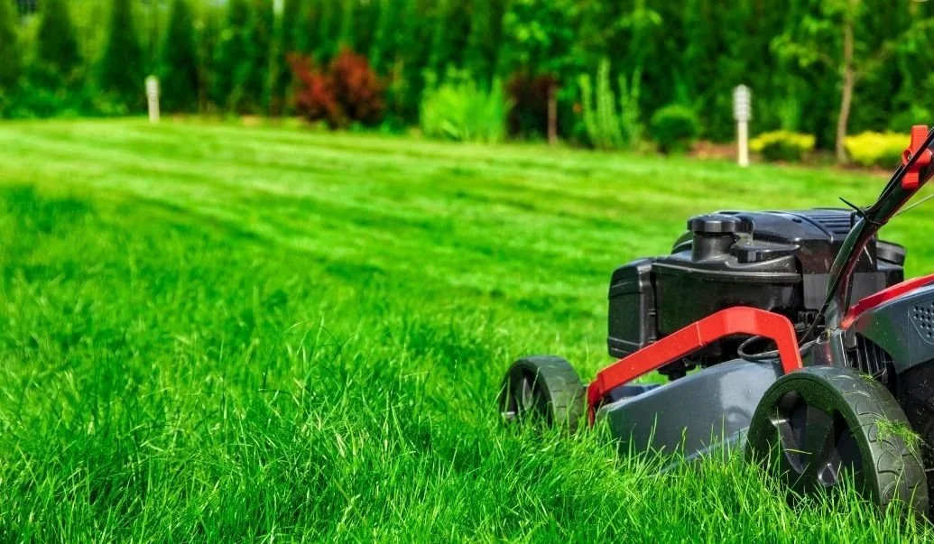 A lawn mower on a well-maintained green lawn with trees and bushes in the background.