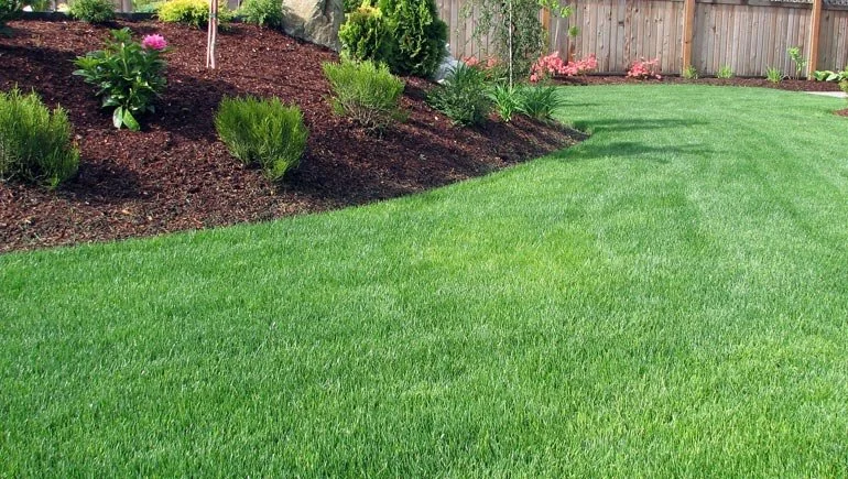 View of a well-manicured backyard with a green lawn, landscaped flower beds, shrubs, trees, and a wooden fence.