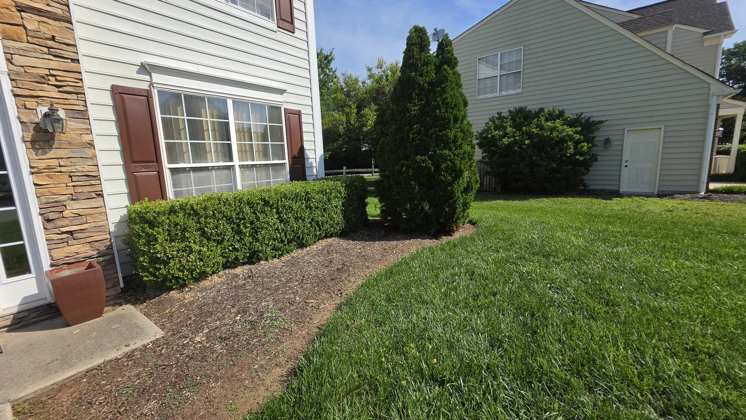 A suburban backyard scene with a large window with brown shutters, a stone and white siding exterior, a white door, green grass, a well-trimmed hedge, a tall evergreen shrub, and a small bush, with blue sky and trees in the background.