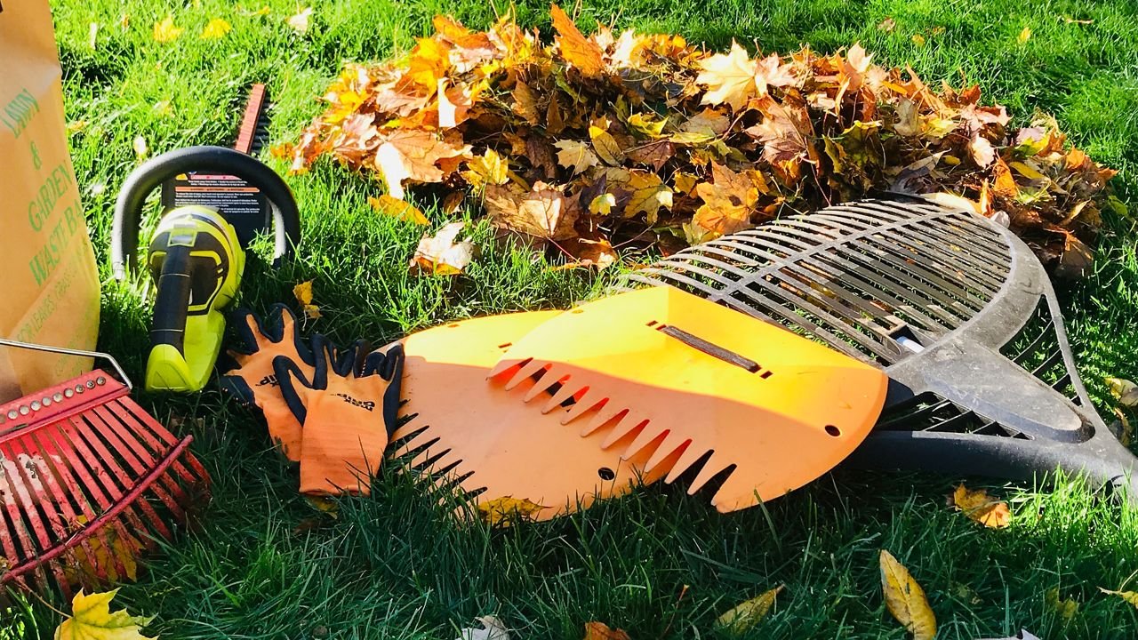 Lawn care tools on grass, including leaf blower, rake, gloves, and leaf vacuum or mulcher, surrounded by fallen autumn leaves.
