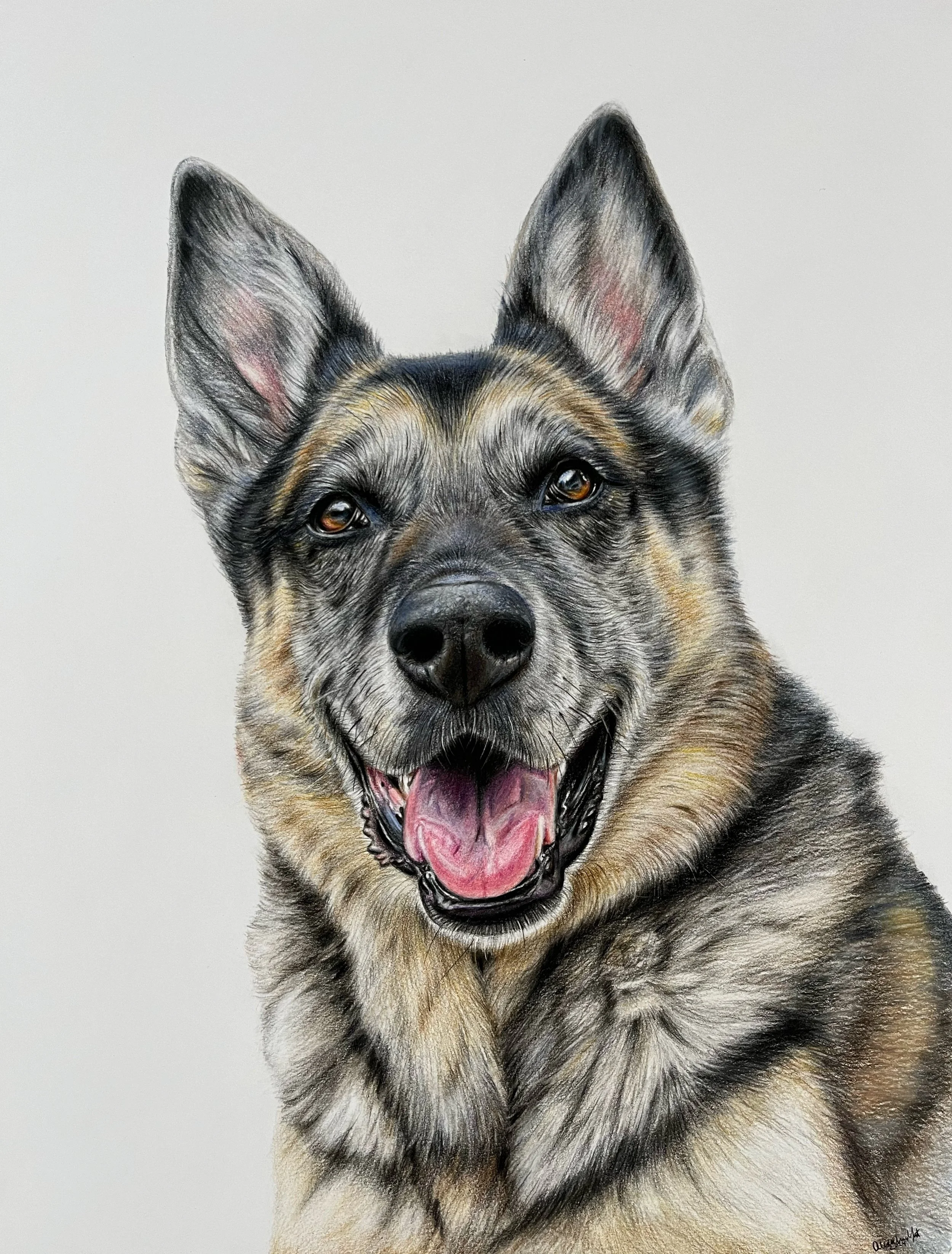 Colored Pencil Portrait