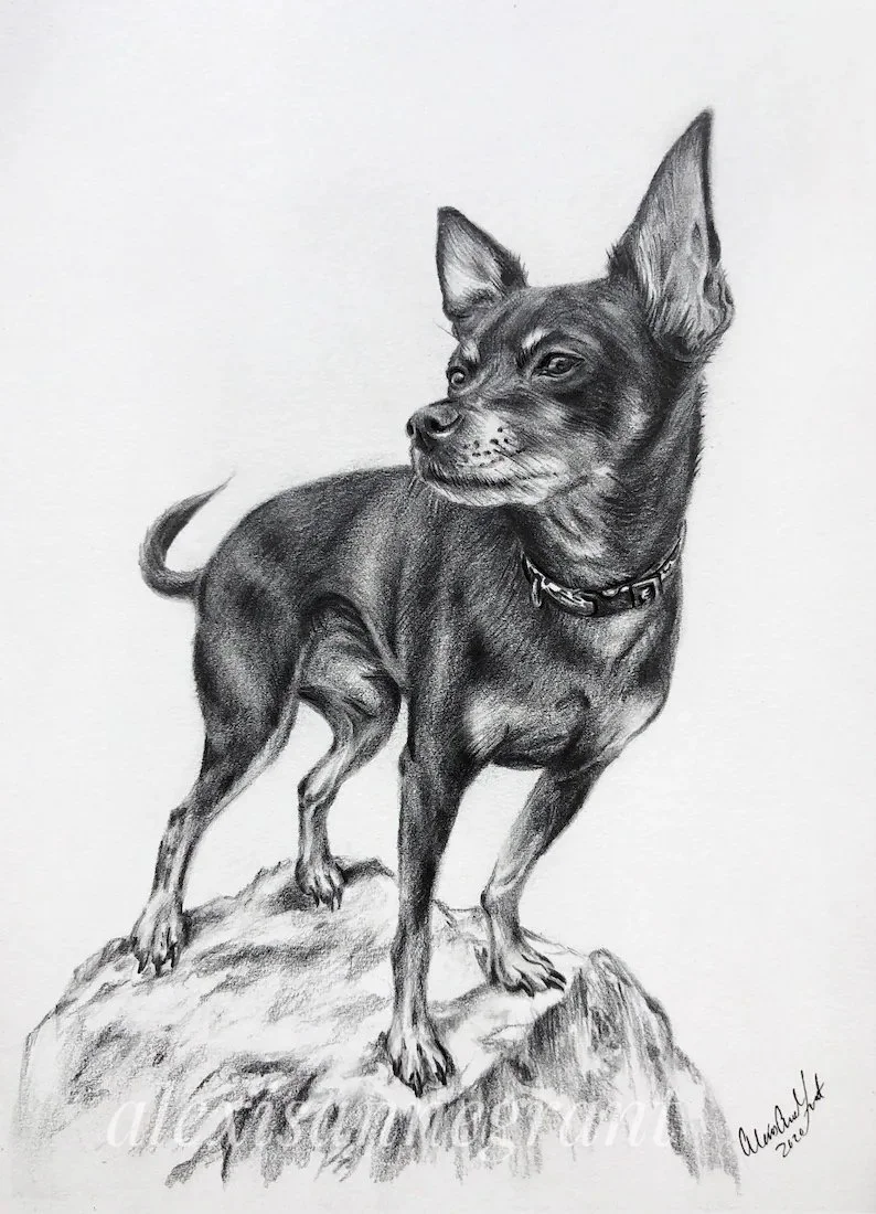 small dog drawing pencil on paper hand drawn full body drawing of dog on rock black and white