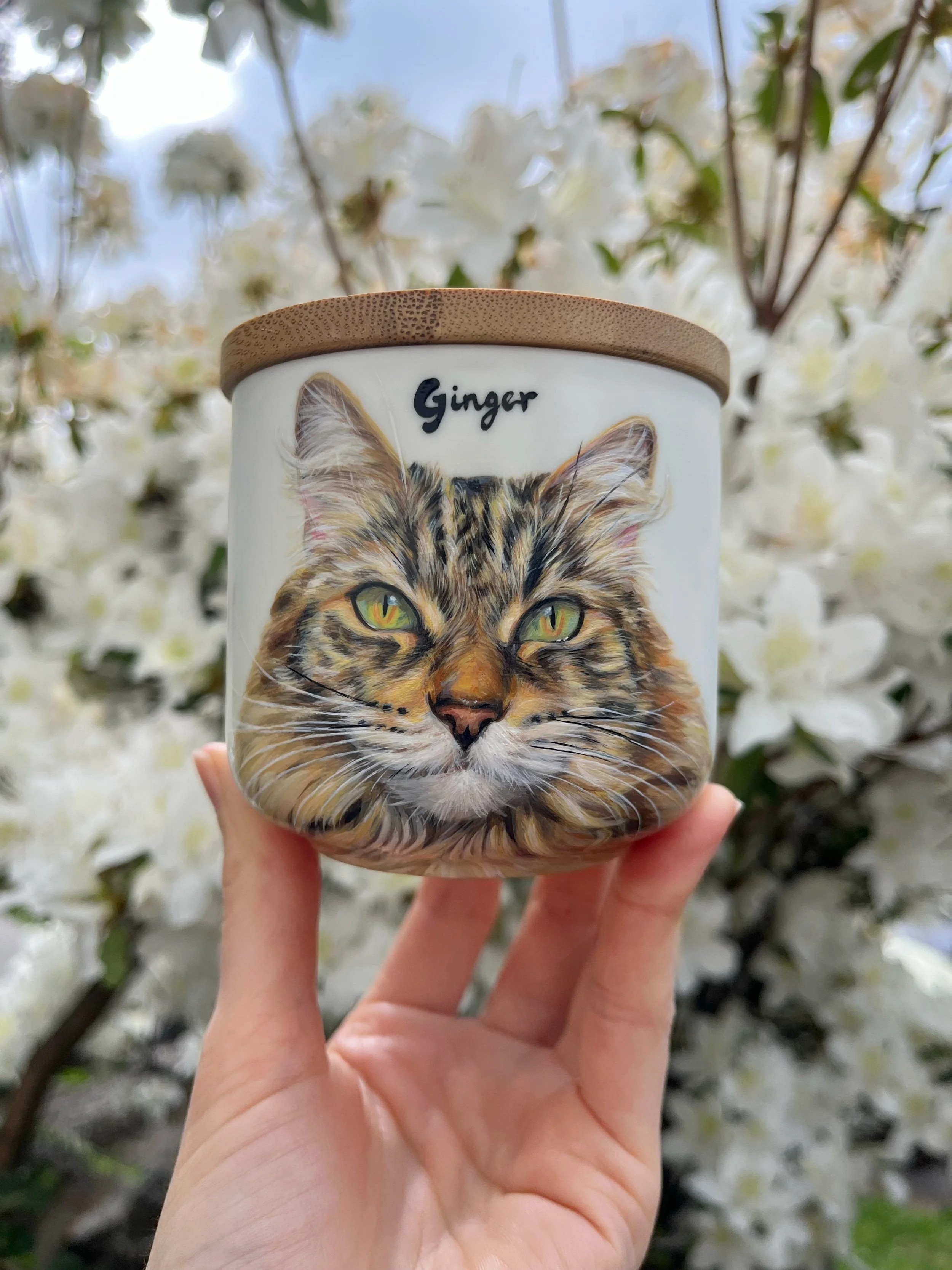 Custom hand painted cat portrait urn from photo. Cat portrait on white ceramic urn with wood lid
