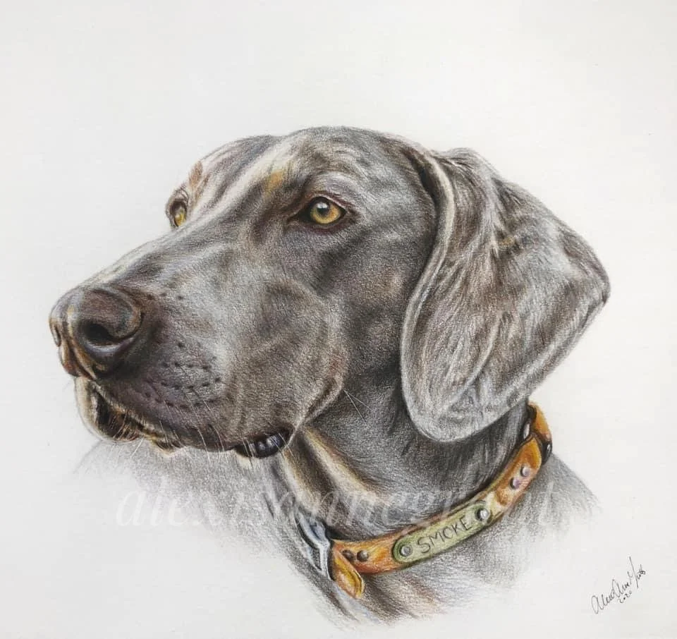 weimeranar portrait drawing on paper his name is smoke hand drawn from photo