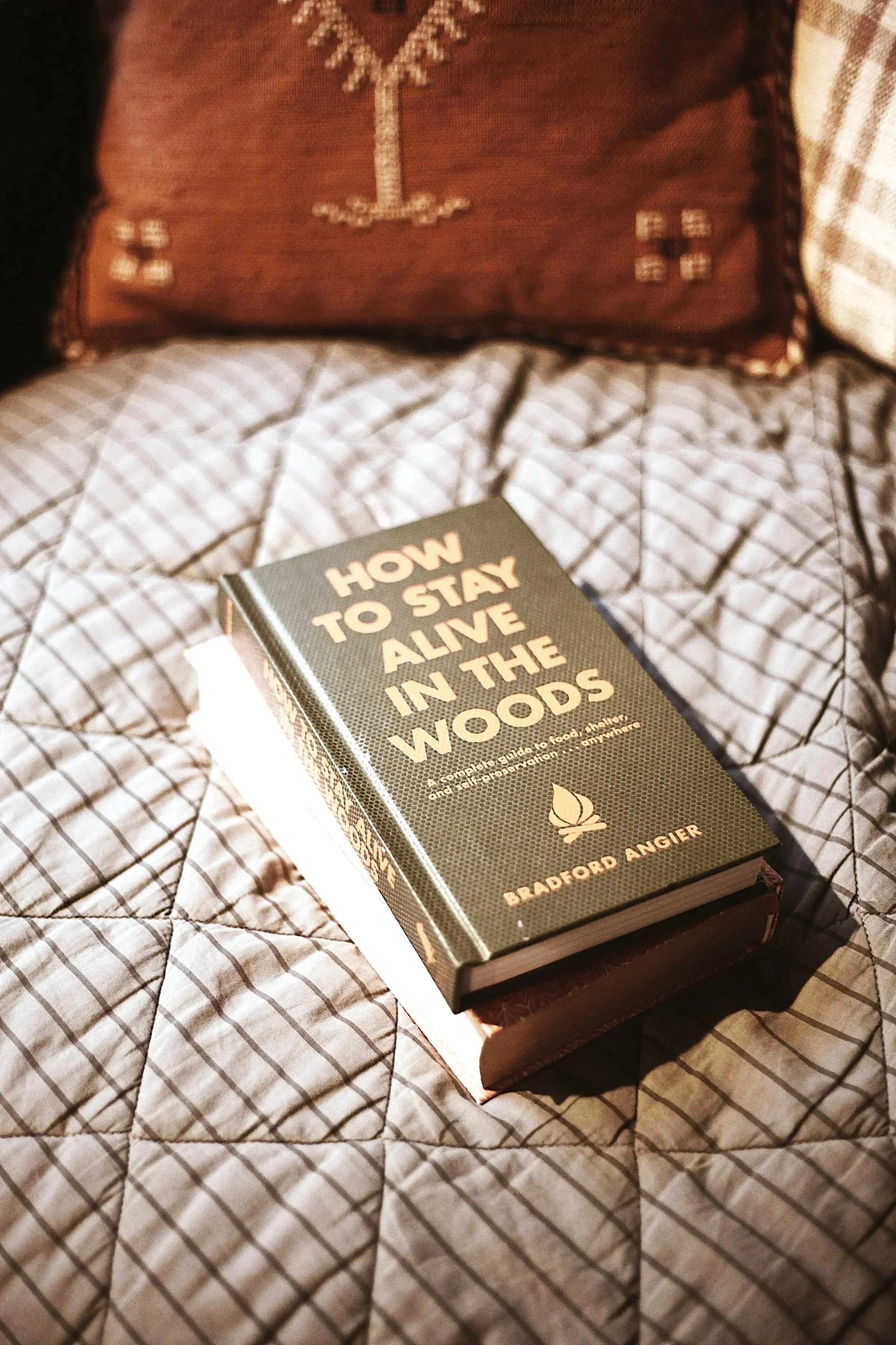 A book titled "How to Stay Alive in the Woods" lies on a quilted bedspread with a checkered pattern. Behind the book, a brown decorative pillow with embroidery is visible.
