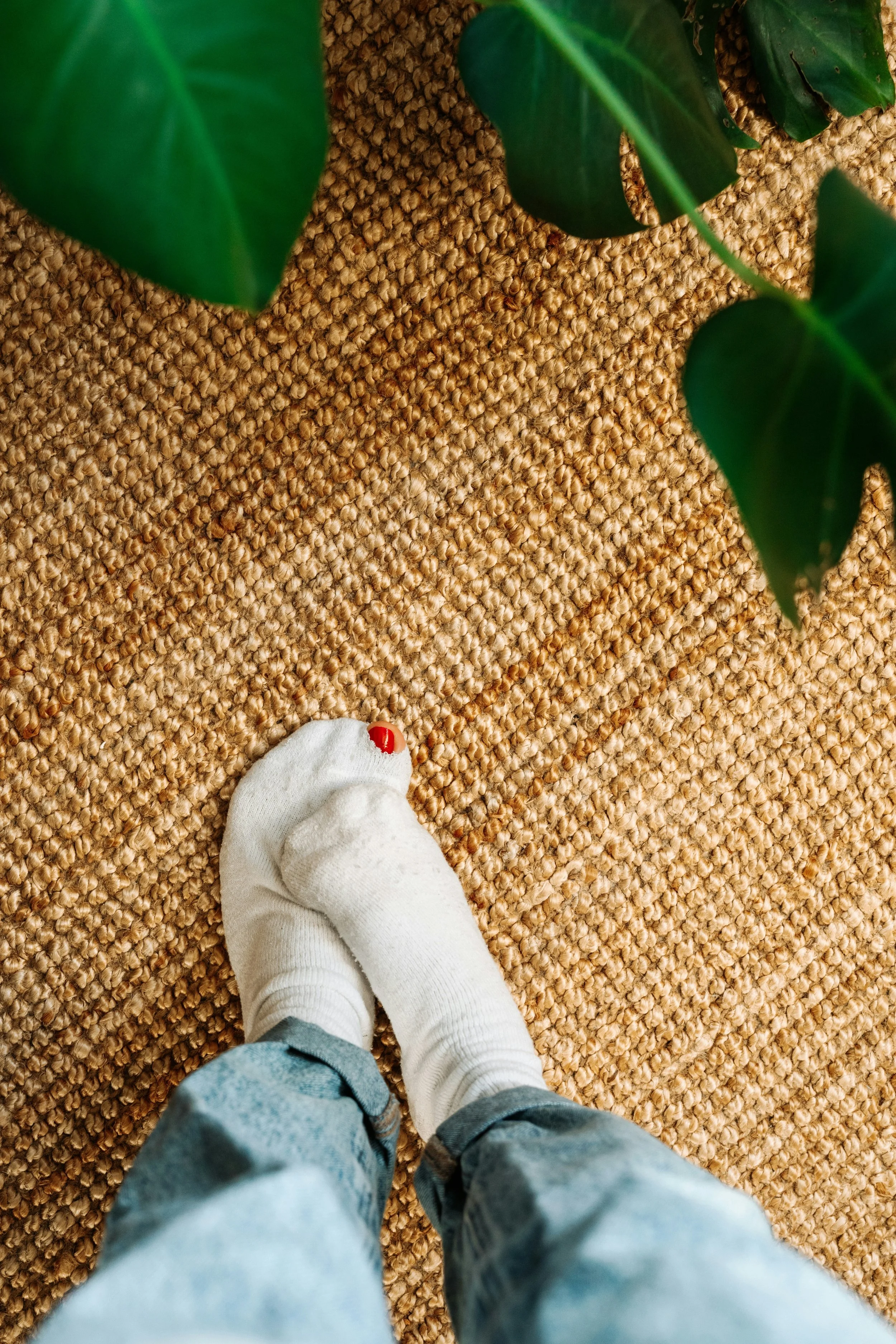 Person standing on a brown textured carpet, wearing white socks and blue jeans, with green leafy plants nearby.