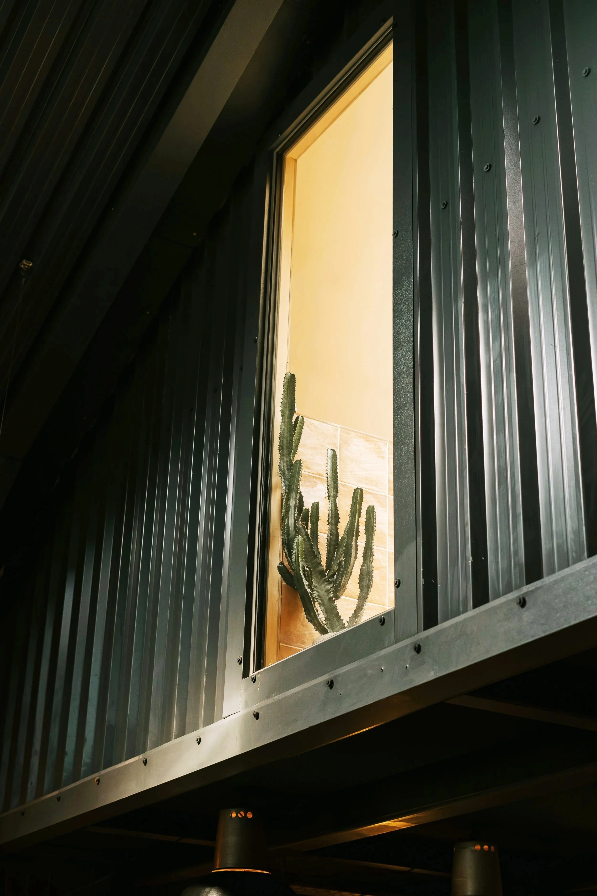 A cactus plant on a small tile platform viewed through a rectangular window with black metal framing, set in a wall with black vertical metal siding, and illuminated by indoor ambient lighting.