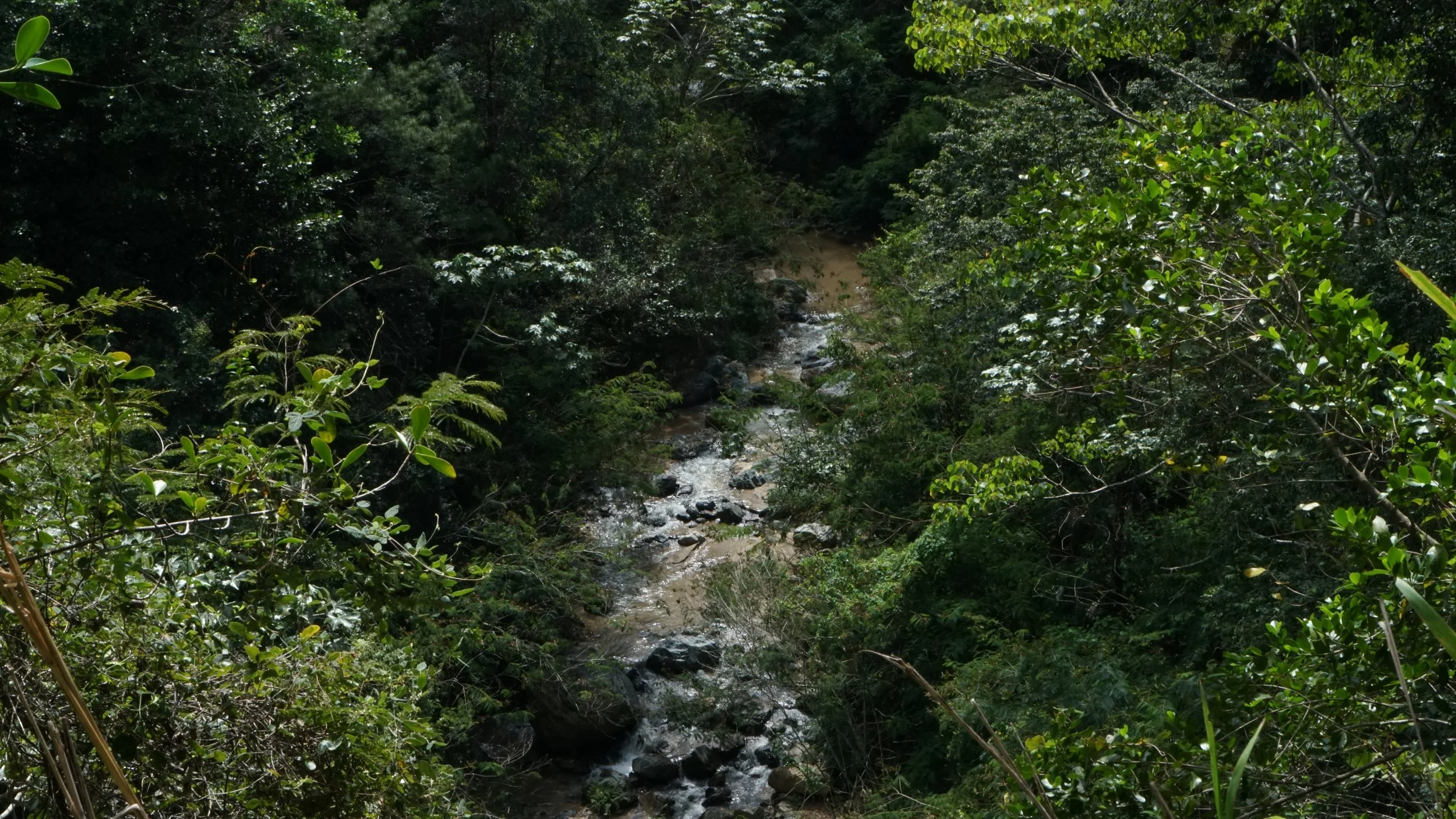 DSC00847.JPG