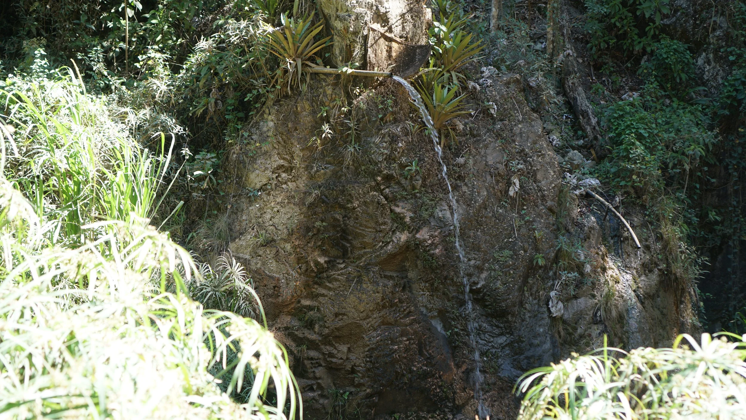 DSC00882.JPG