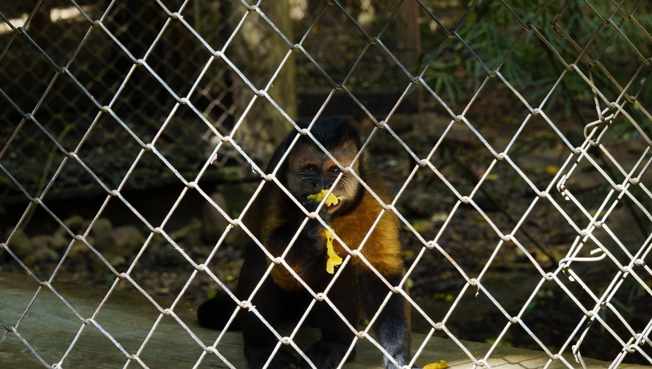 _DSC0704.JPG