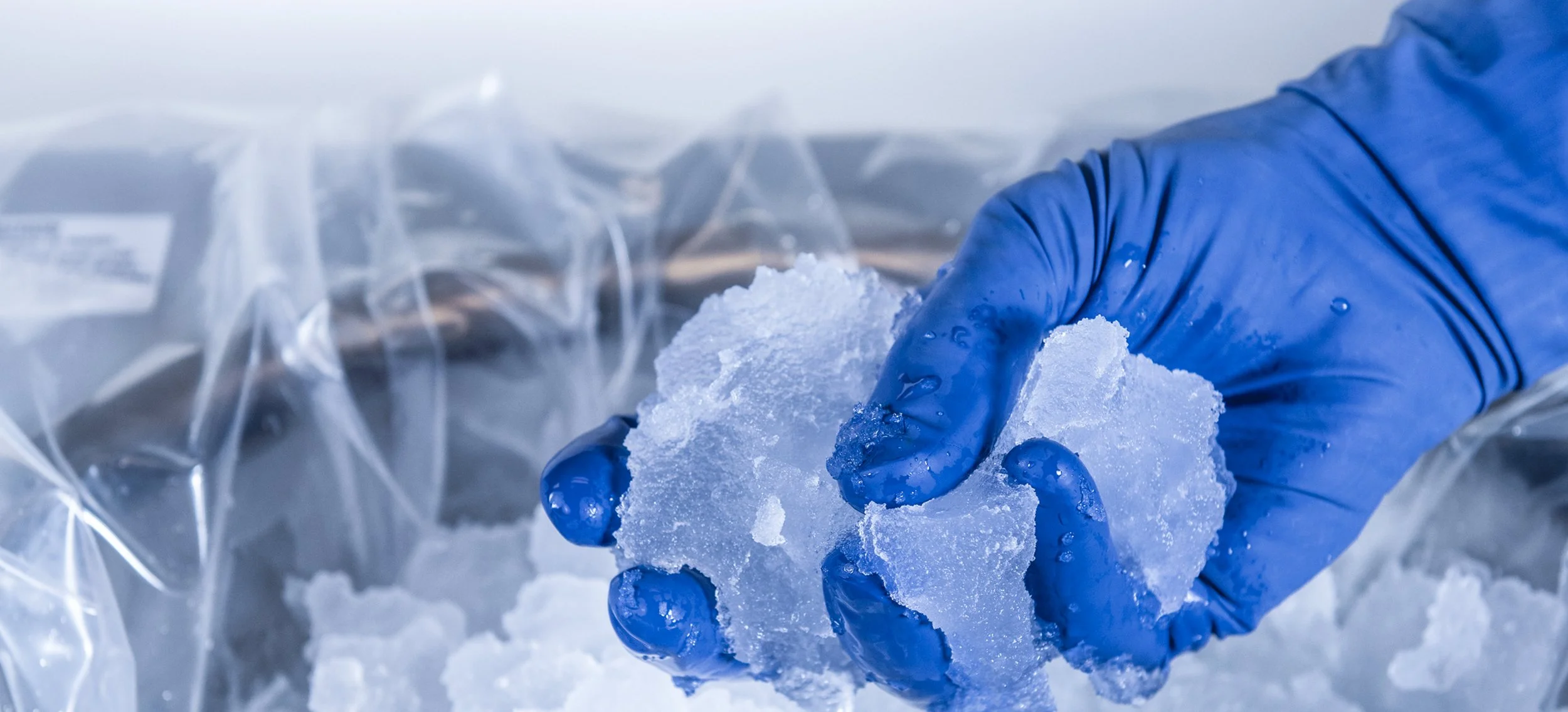 A person wearing blue gloves handling a chunk of ice with a transparent plastic bag in the background.