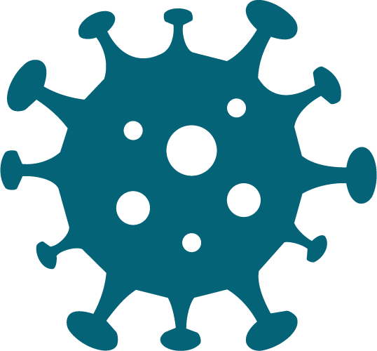 Illustration of a virus with a circular shape and spike proteins protruding from its surface.