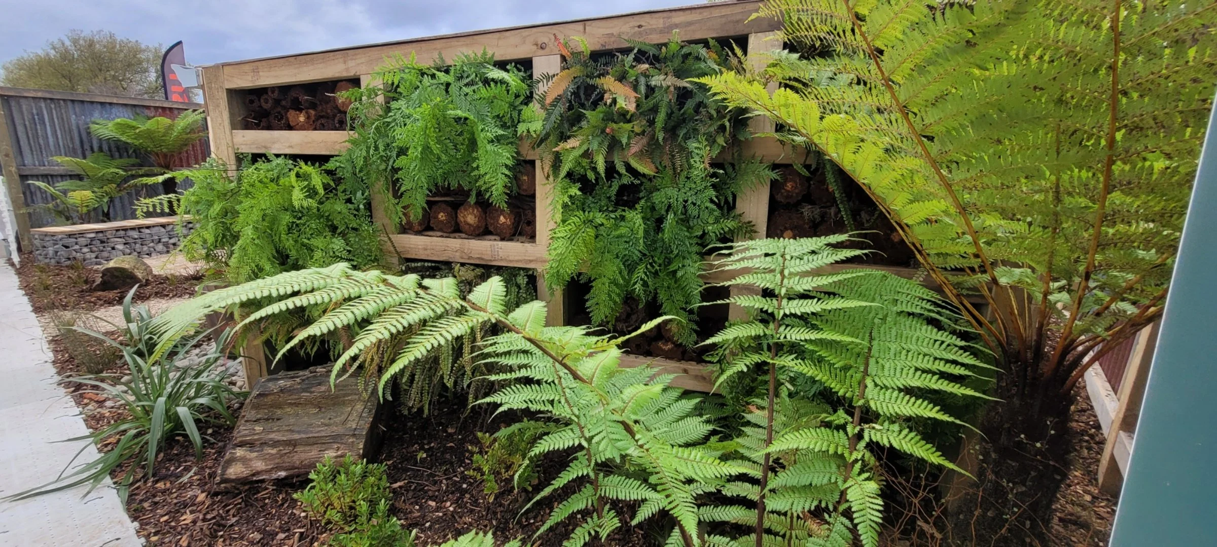 A garden display with a wooden structure filled with stacked logs and surrounded by lush green fern plants.