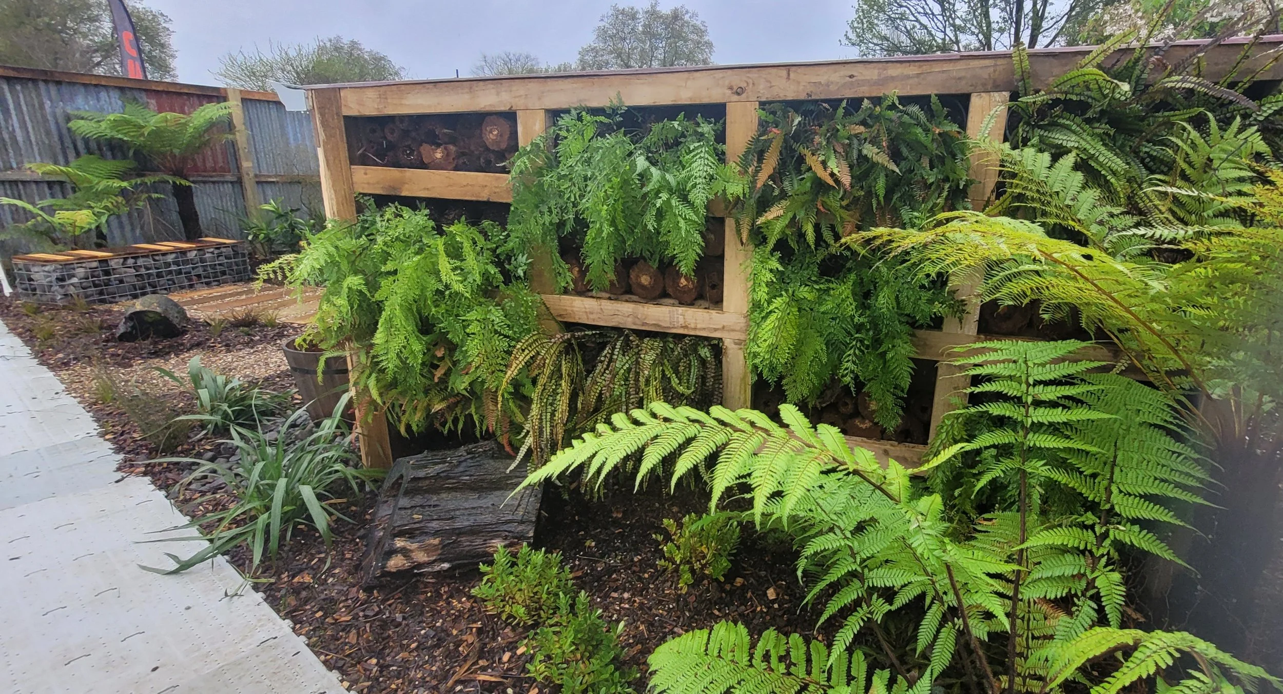 A garden scene featuring a large wooden structure with stacked firewood and an abundance of green fern plants surrounding it.