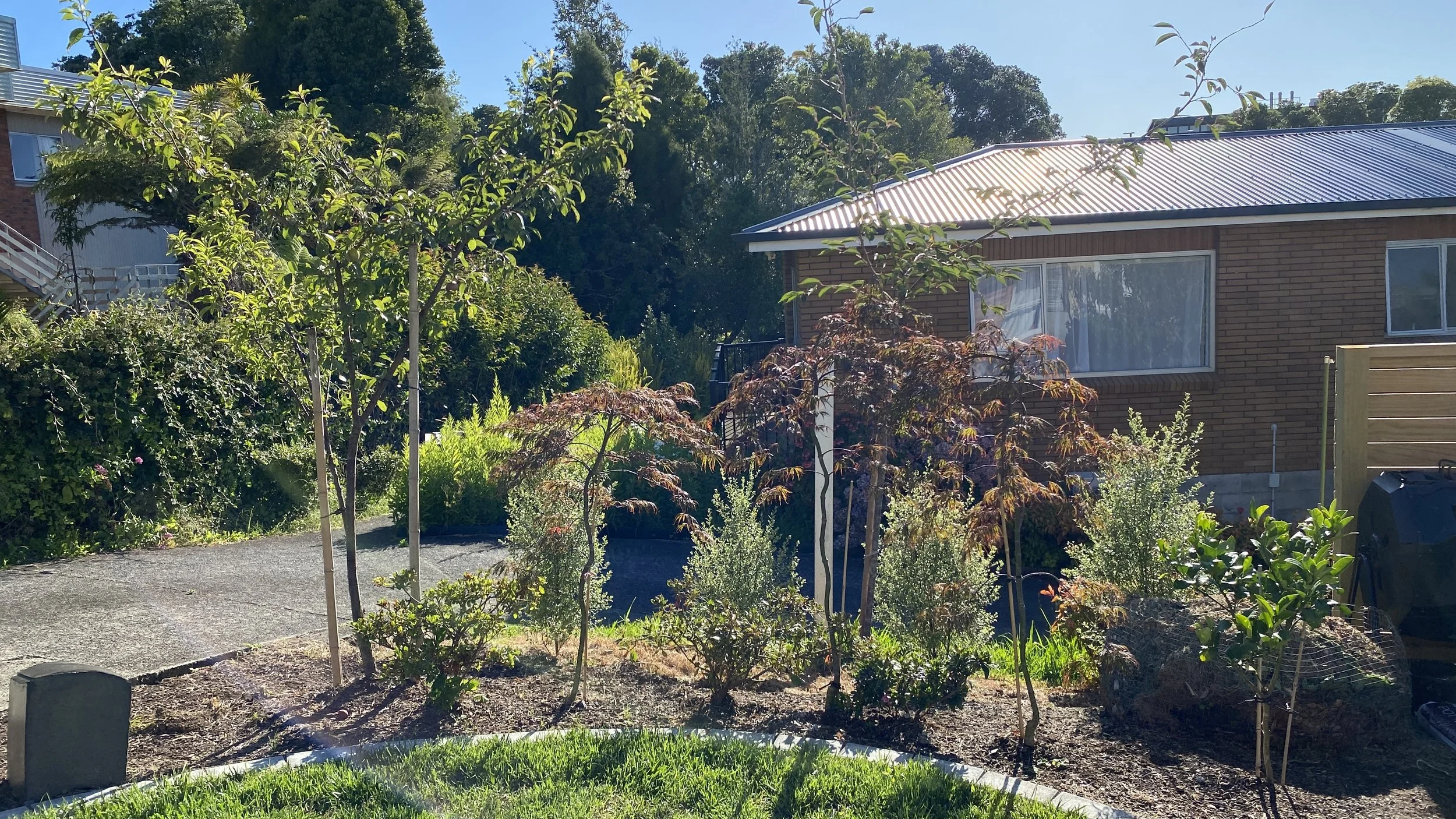 A backyard garden with various trees, bushes, and plants in front of a brick house with a metal roof, during daytime with clear blue sky.