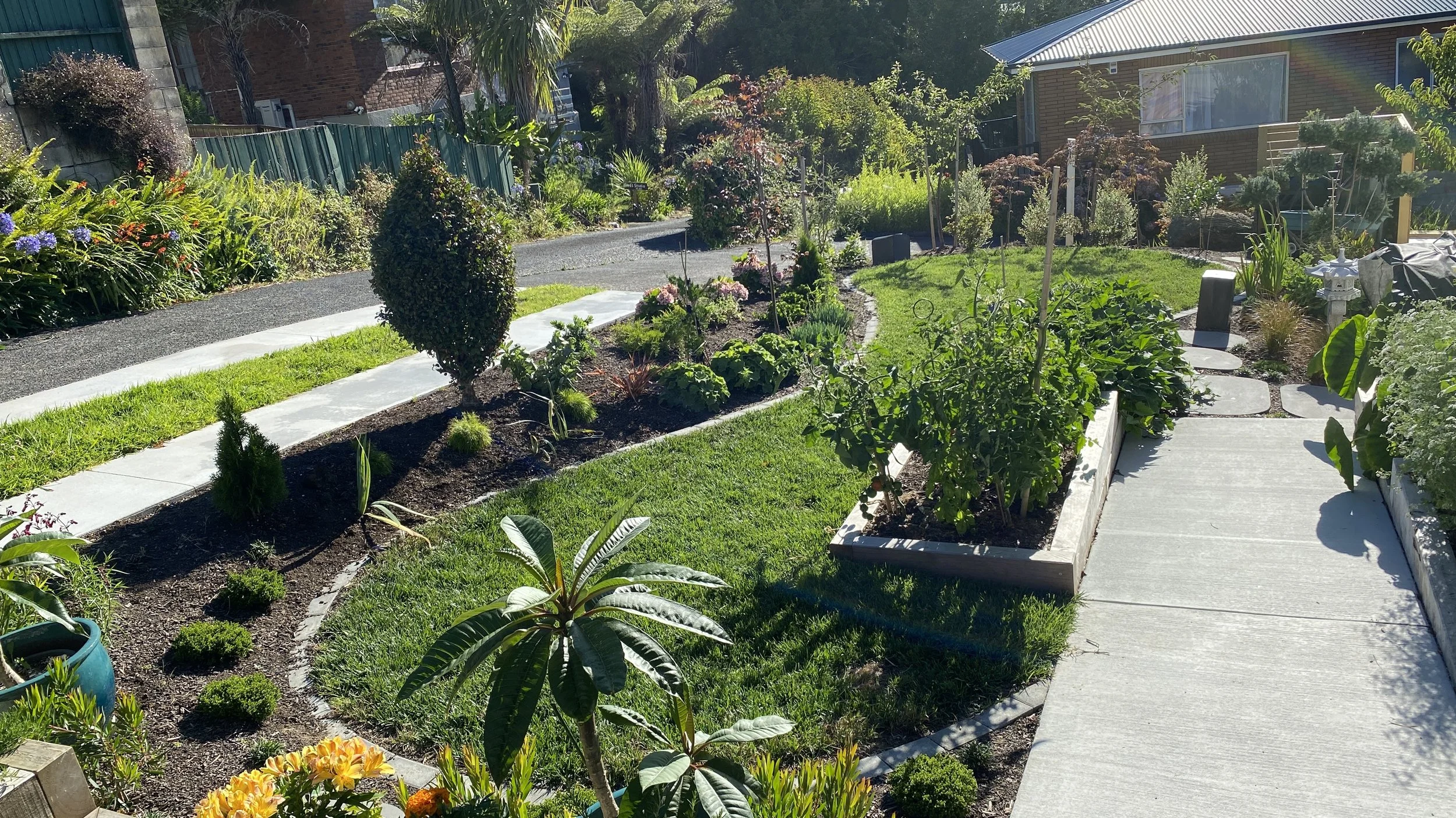 A sunny garden with various plants, shrubs, and flowers, a concrete pathway, and a house with a gray roof and large window in the background.
