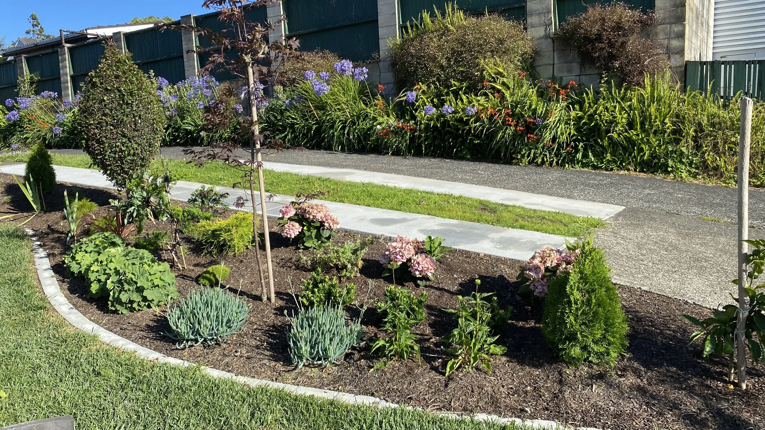 A landscaped garden with various flowering plants, bushes, and small trees, bordered by a concrete edge, with a asphalt pathway behind it and a green privacy fence in the background under a clear blue sky.