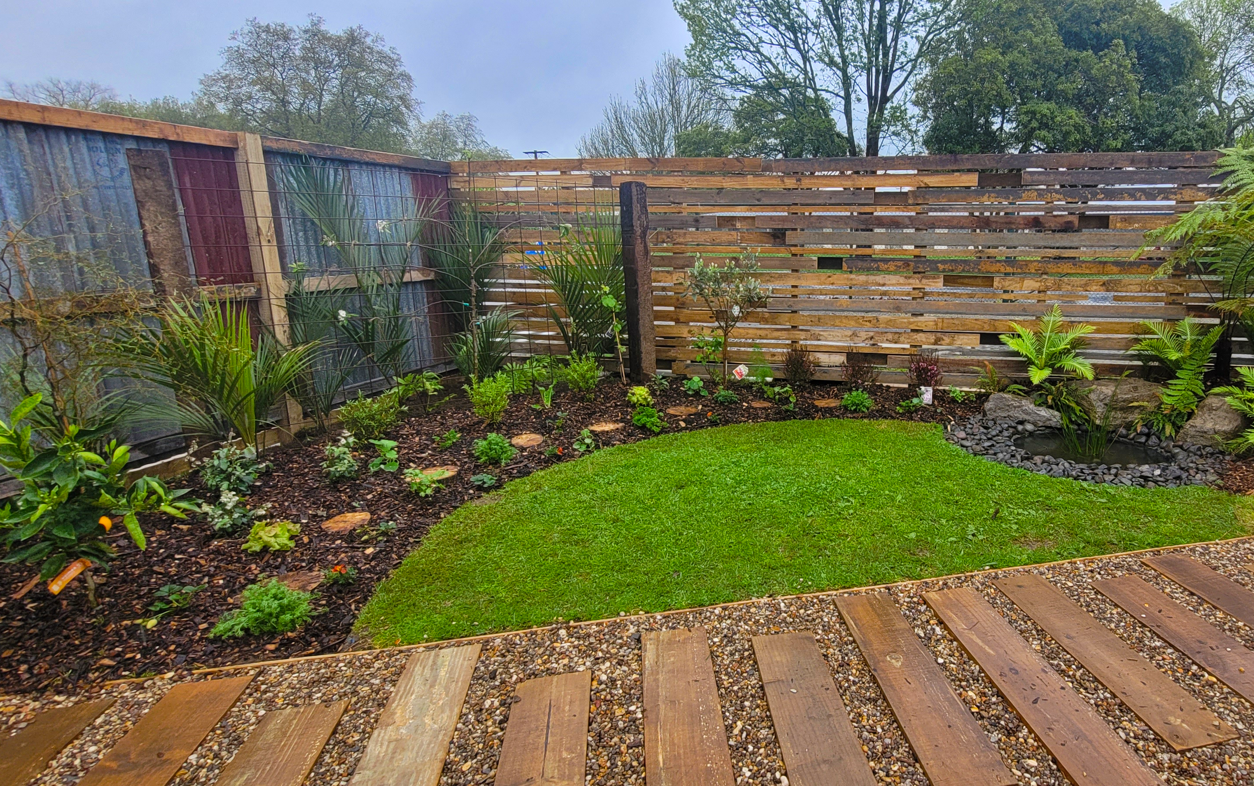 A landscaped backyard with a small pond in the corner, bordered by rocks. There is a manicured grass lawn in the foreground edged with a stone and wood pathway. The background has a wooden fence, some trees, and various plants and shrubs.