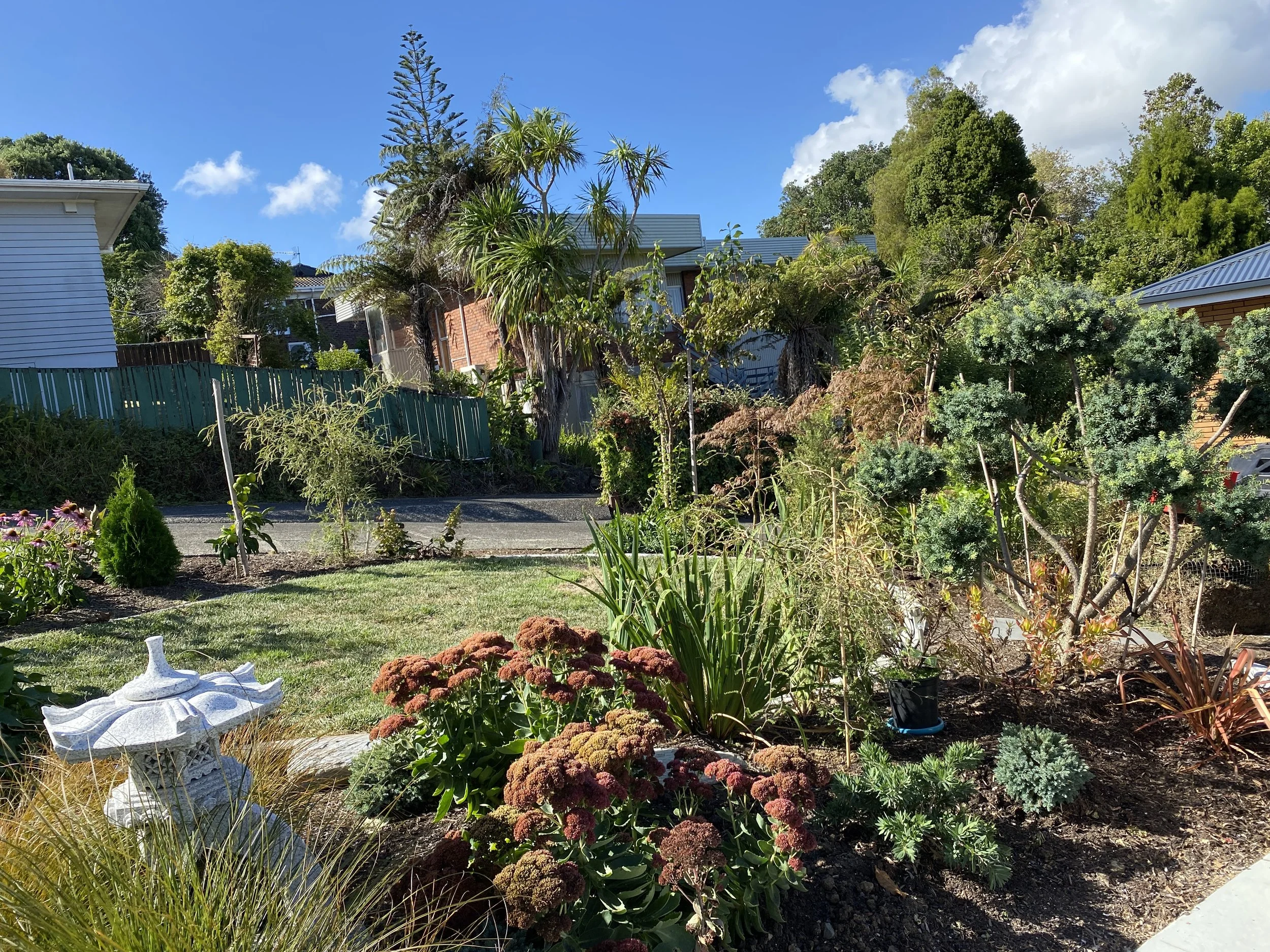 A lush backyard garden with various green plants and trees, a brick house in the background, blue sky with white clouds, and a garden ornament in the foreground.