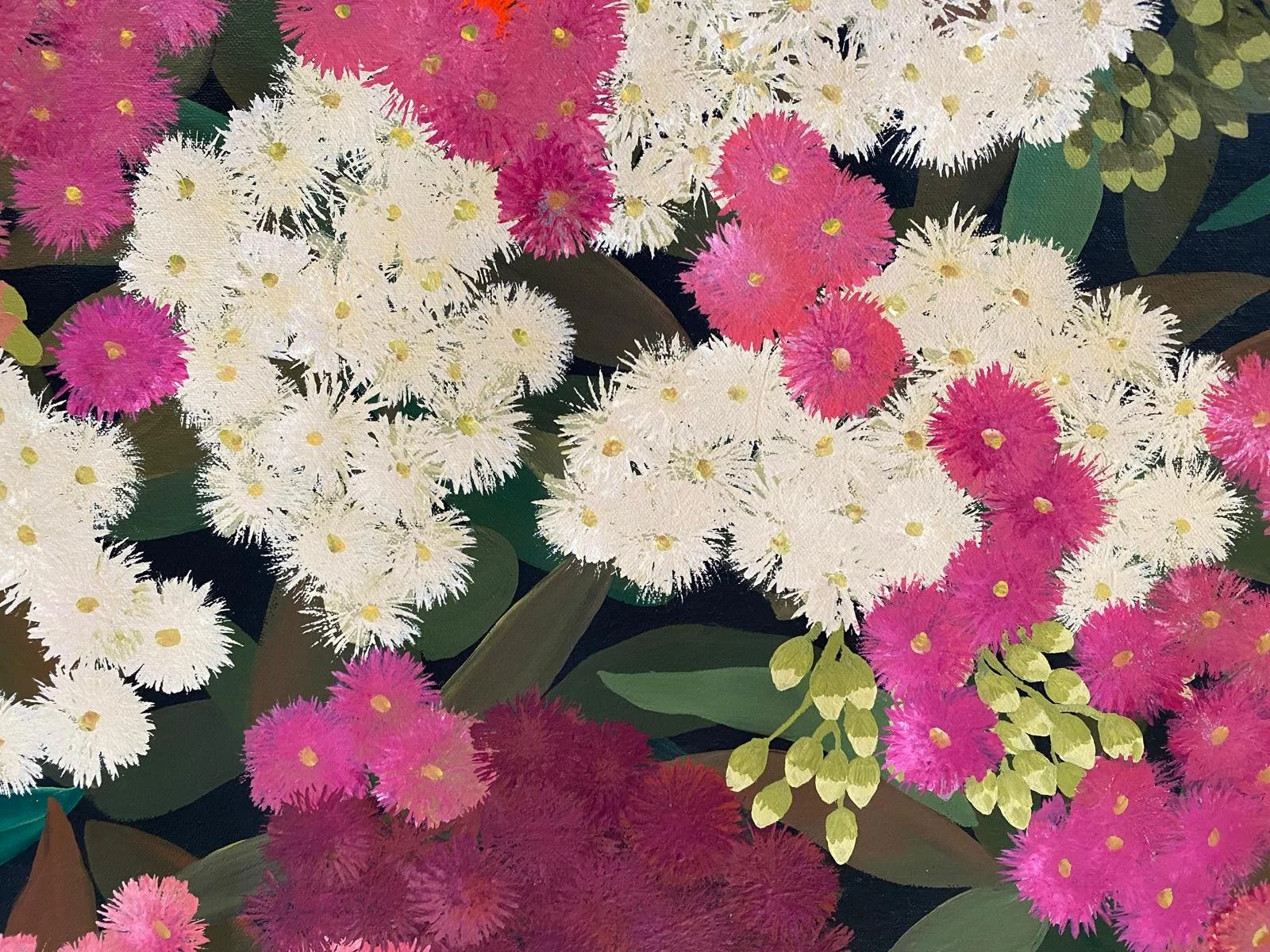 A close-up of a cluster of pink and white flowers with green leaves in the background.