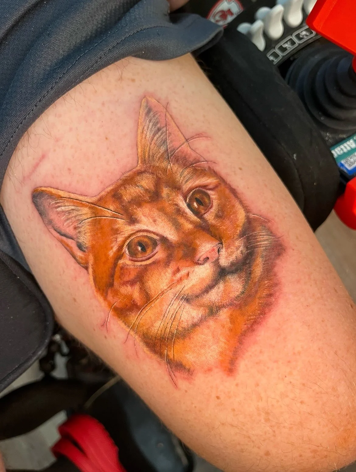 I got to give @raebeas her FIFTH pet portrait&hellip; this time with color 😍
Rachel started getting tattooed after her ALS diagnosis a few years ago, we met when I did her first tattoo. Im beyond grateful (and honestly, in awe) that she has continue