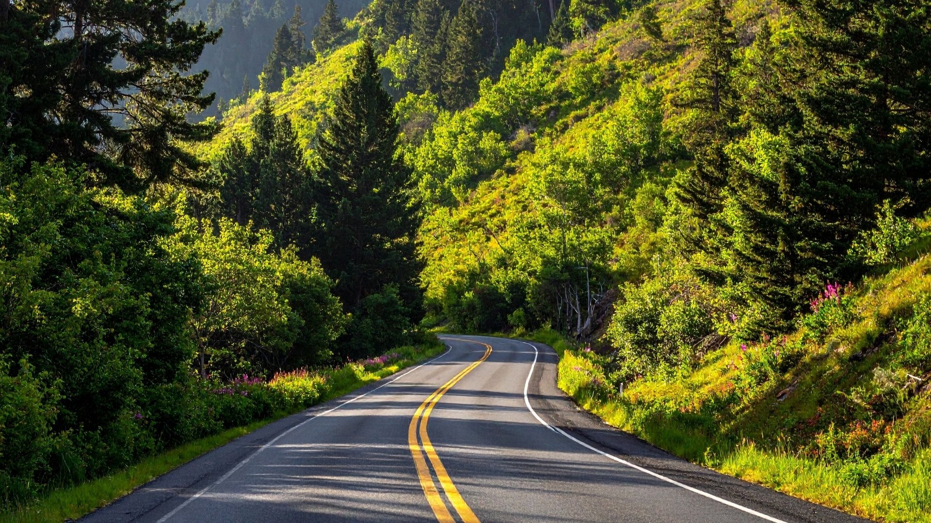 5 Ways to Prepare Your Campervan for Spring Adventures