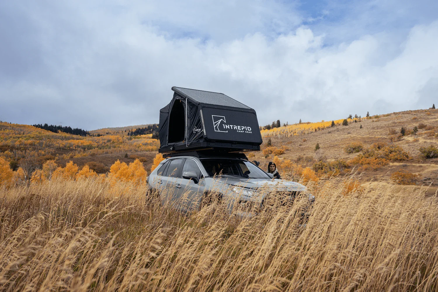 an SUV in tall grass with a roof tent open