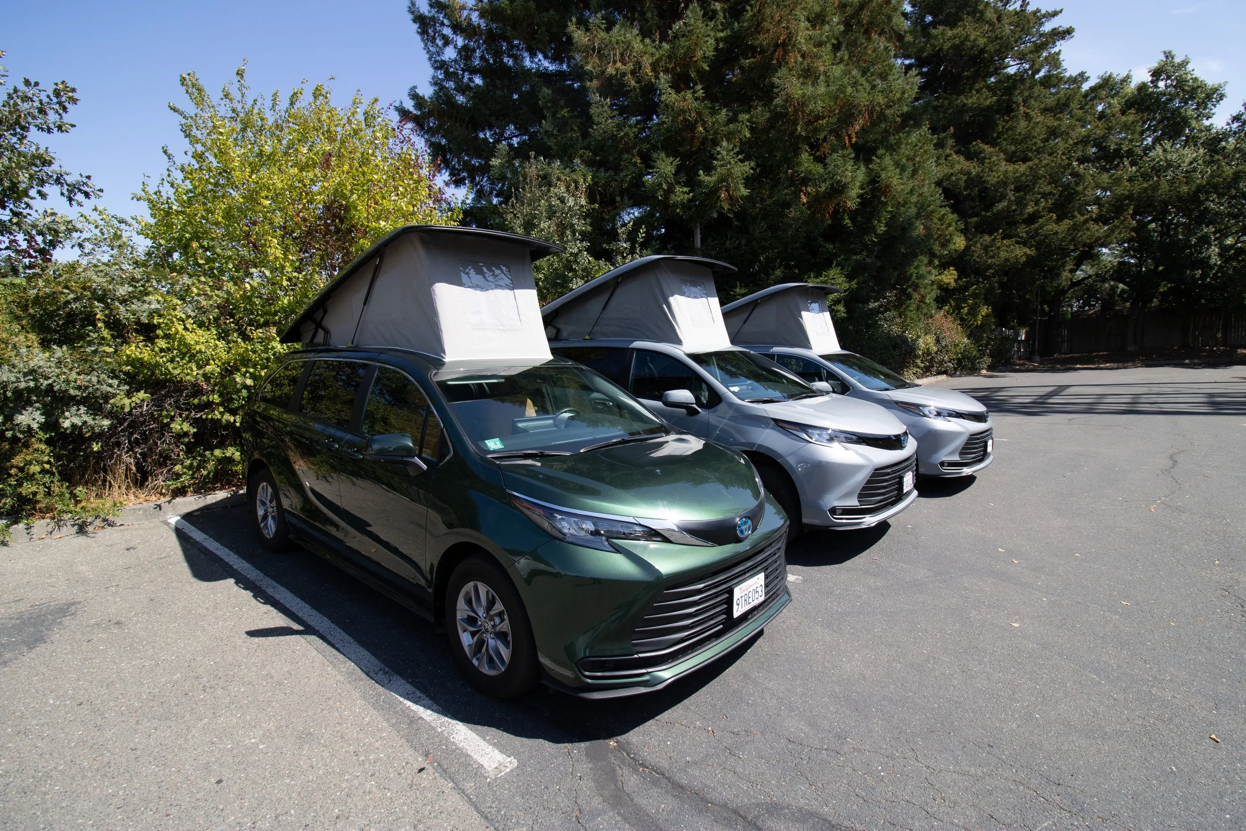 a lineup of sienna vans with pop-top roofs open