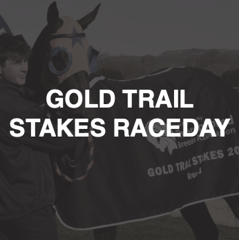 A young man stands next to a horse with a blue bridle, on a racetrack, with a banner reading 'GOLD TRAIL STAKES RACEDAY'