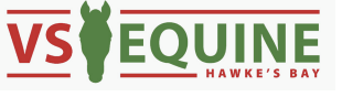 Logo of VSEquine Hawke's Bay with green horse head silhouette and red and green text.