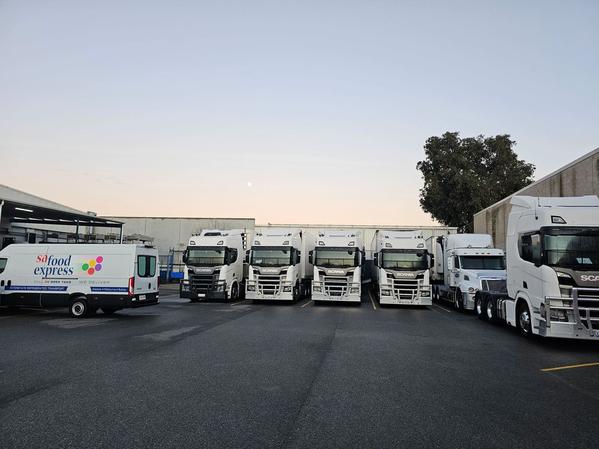 A parking lot filled with white trucks and vans, including a food delivery van on the left, under a clear evening sky with minimal clouds and a visible moon. There is a large tree on the right and a warehouse building on the right side.