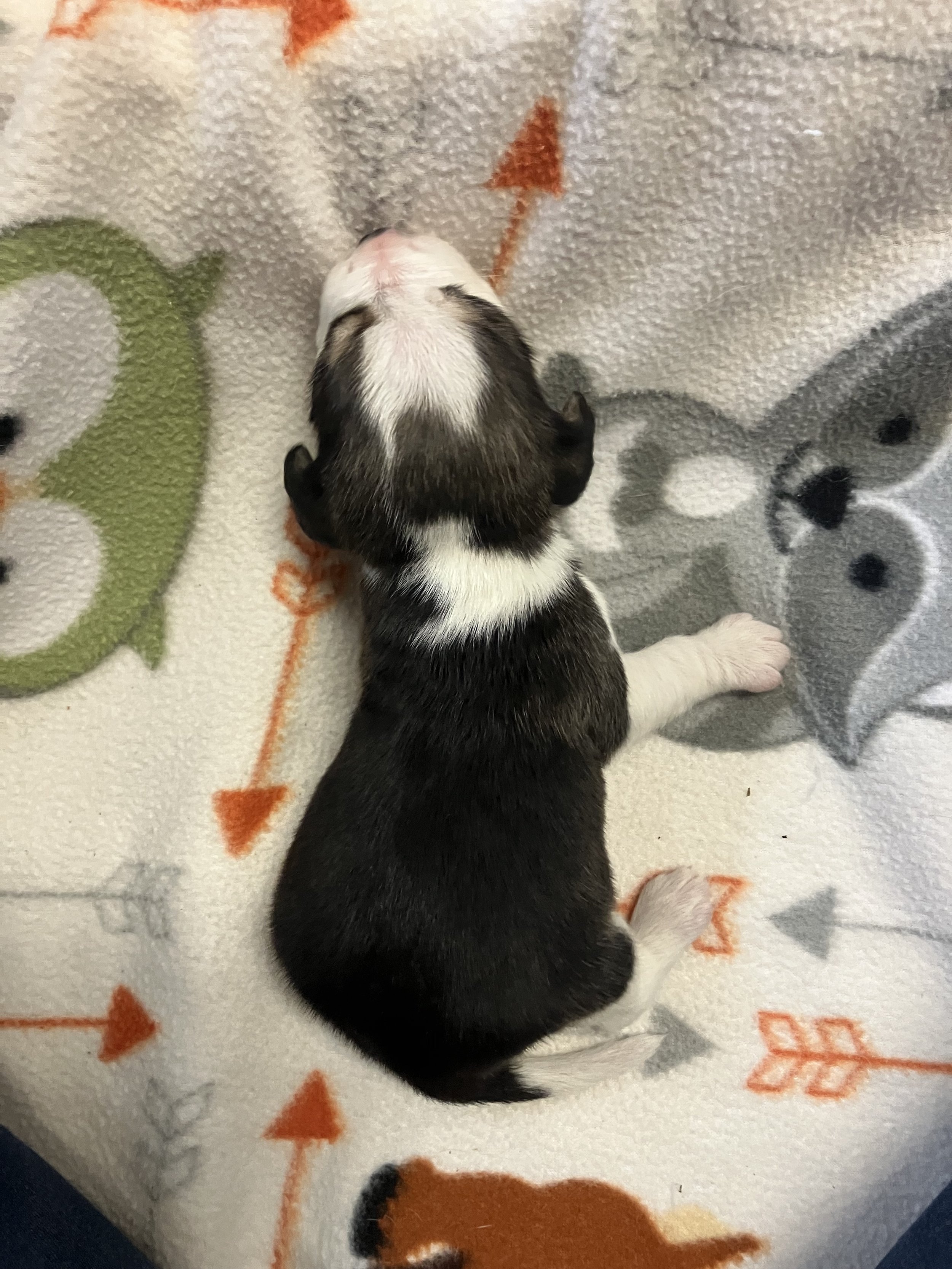 IMG_2317(1).JPEG