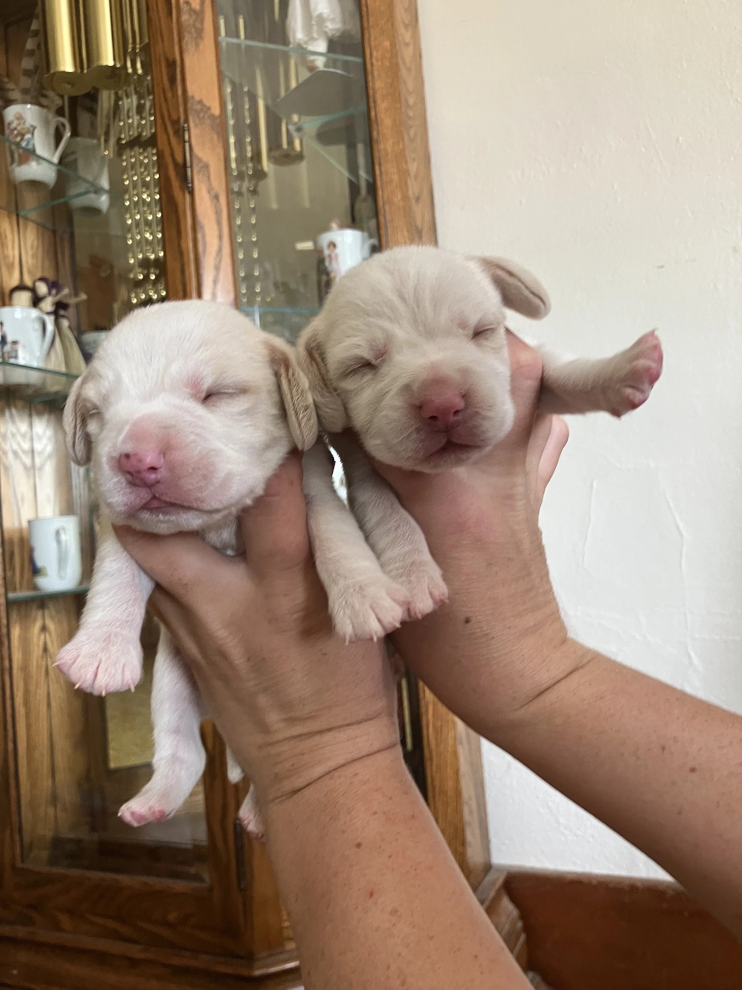 Lucas on left, Lenny on right
